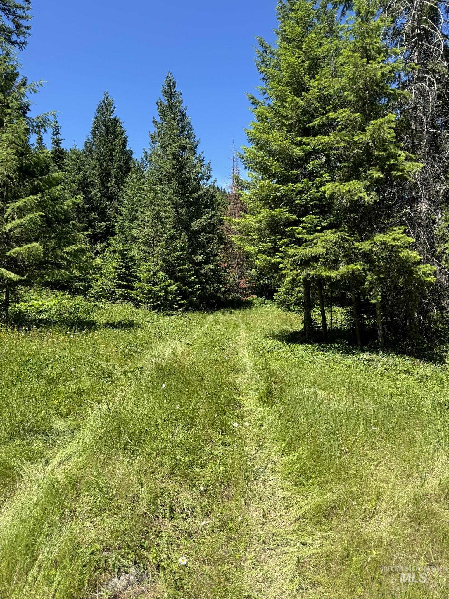 7362 S Dicks Creek Rd, Kendrick, Idaho 83537, Land For Sale, Price $289,900, 98915744