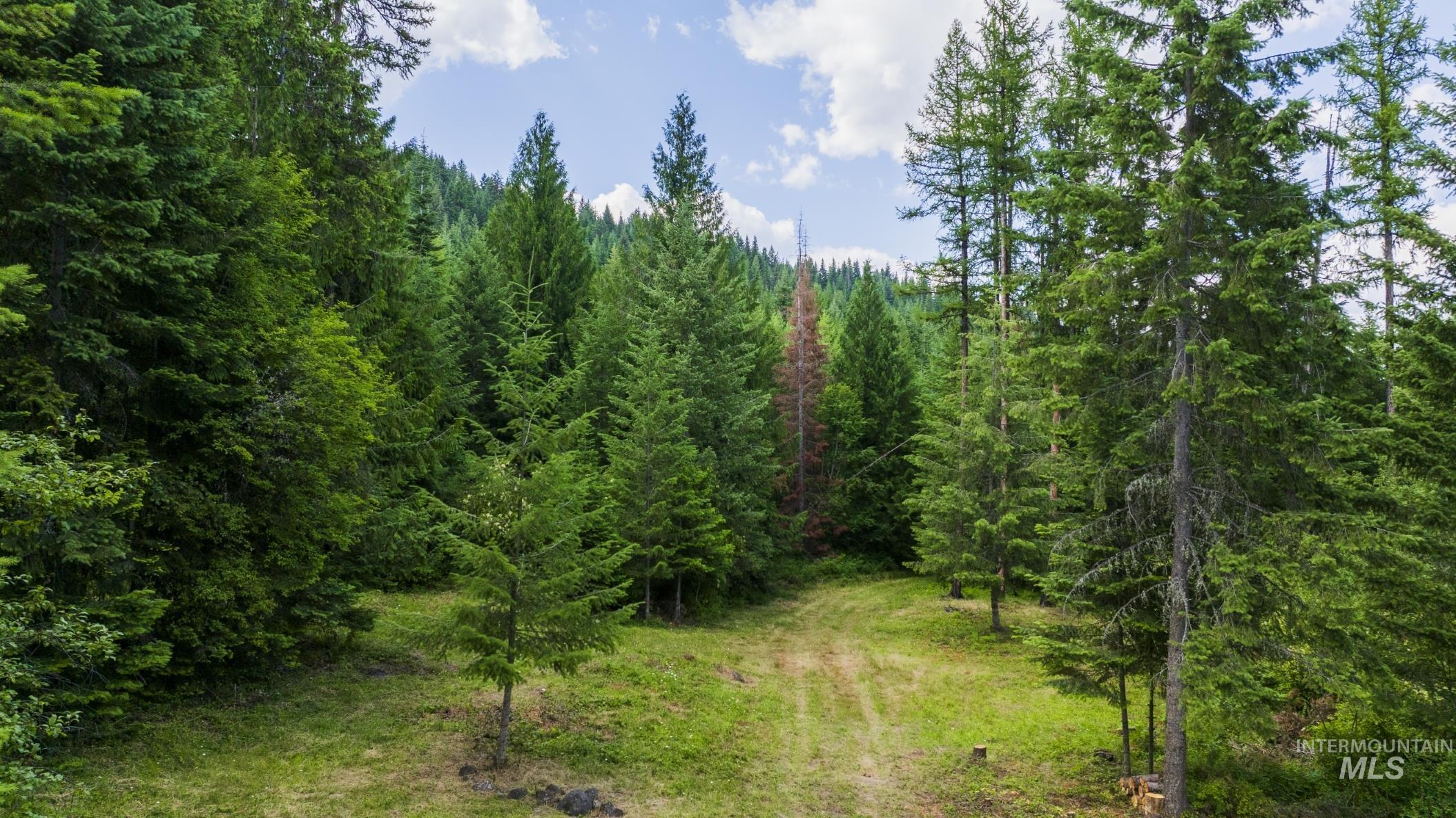 7362 S Dicks Creek Rd, Kendrick, Idaho 83537, Land For Sale, Price $289,900, 98915744