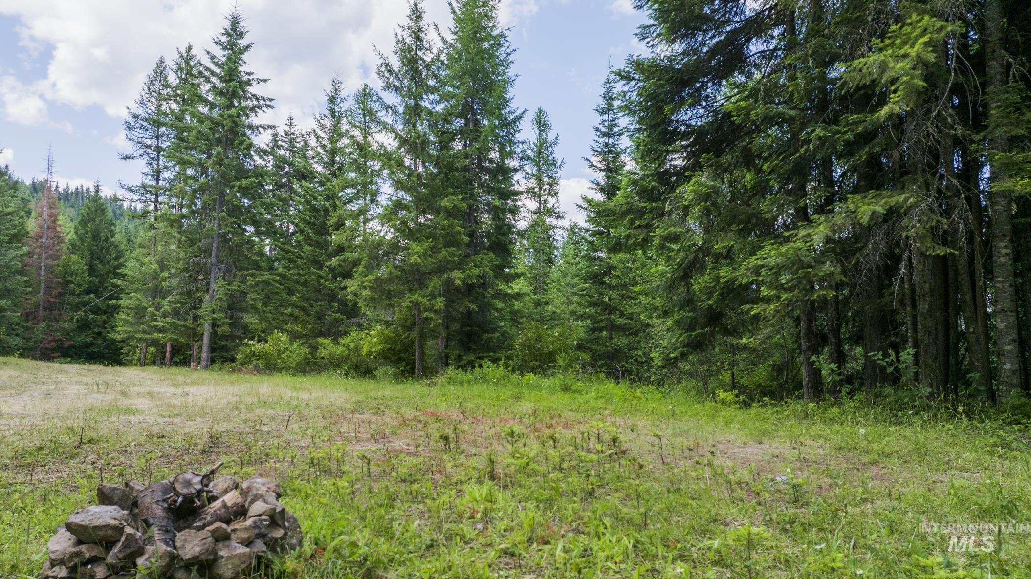 7362 S Dicks Creek Rd, Kendrick, Idaho 83537, Land For Sale, Price $289,900, 98915744