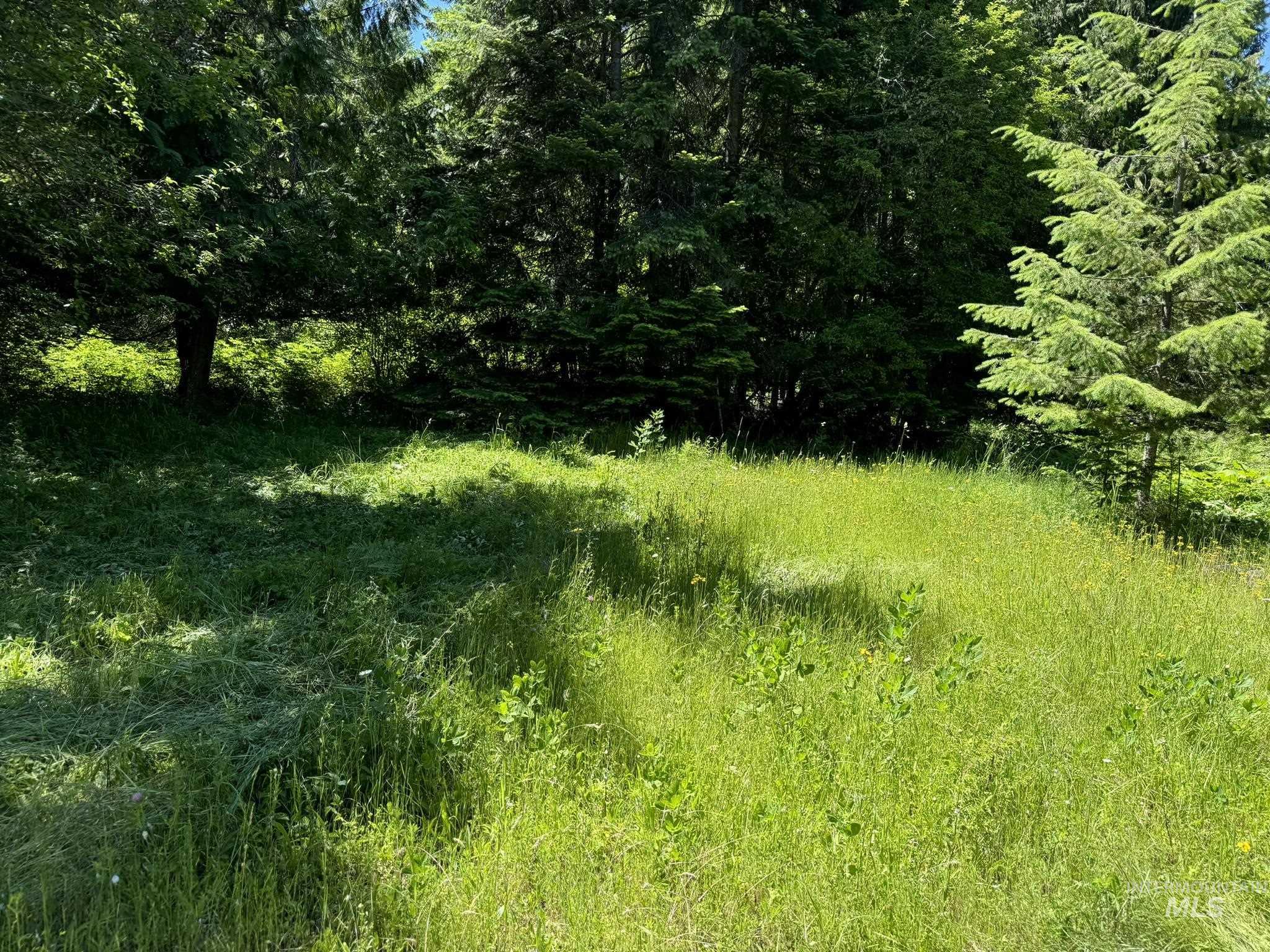 7362 S Dicks Creek Rd, Kendrick, Idaho 83537, Land For Sale, Price $289,900, 98915744