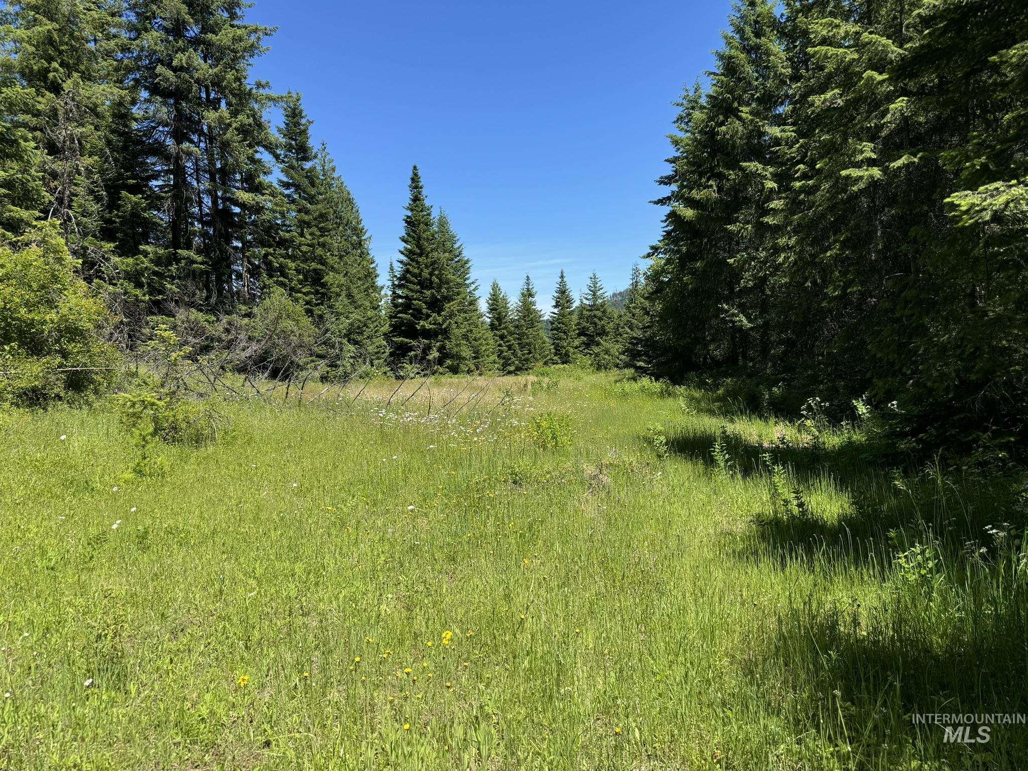 7362 S Dicks Creek Rd, Kendrick, Idaho 83537, Land For Sale, Price $289,900, 98915744