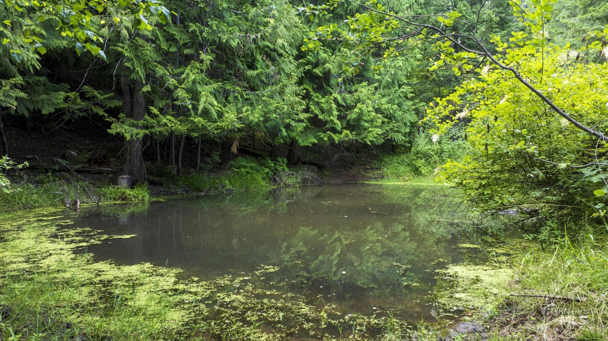 7362 S Dicks Creek Rd, Kendrick, Idaho 83537, Land For Sale, Price $289,900, 98915744