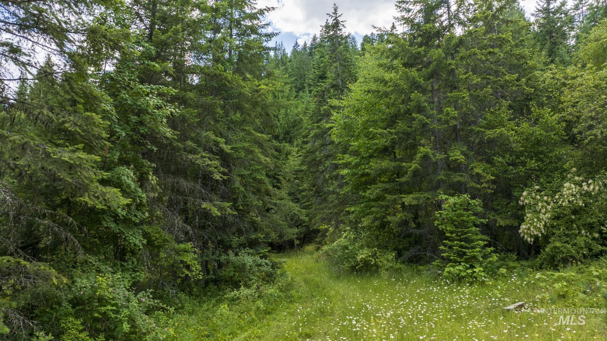 7362 S Dicks Creek Rd, Kendrick, Idaho 83537, Land For Sale, Price $289,900, 98915744