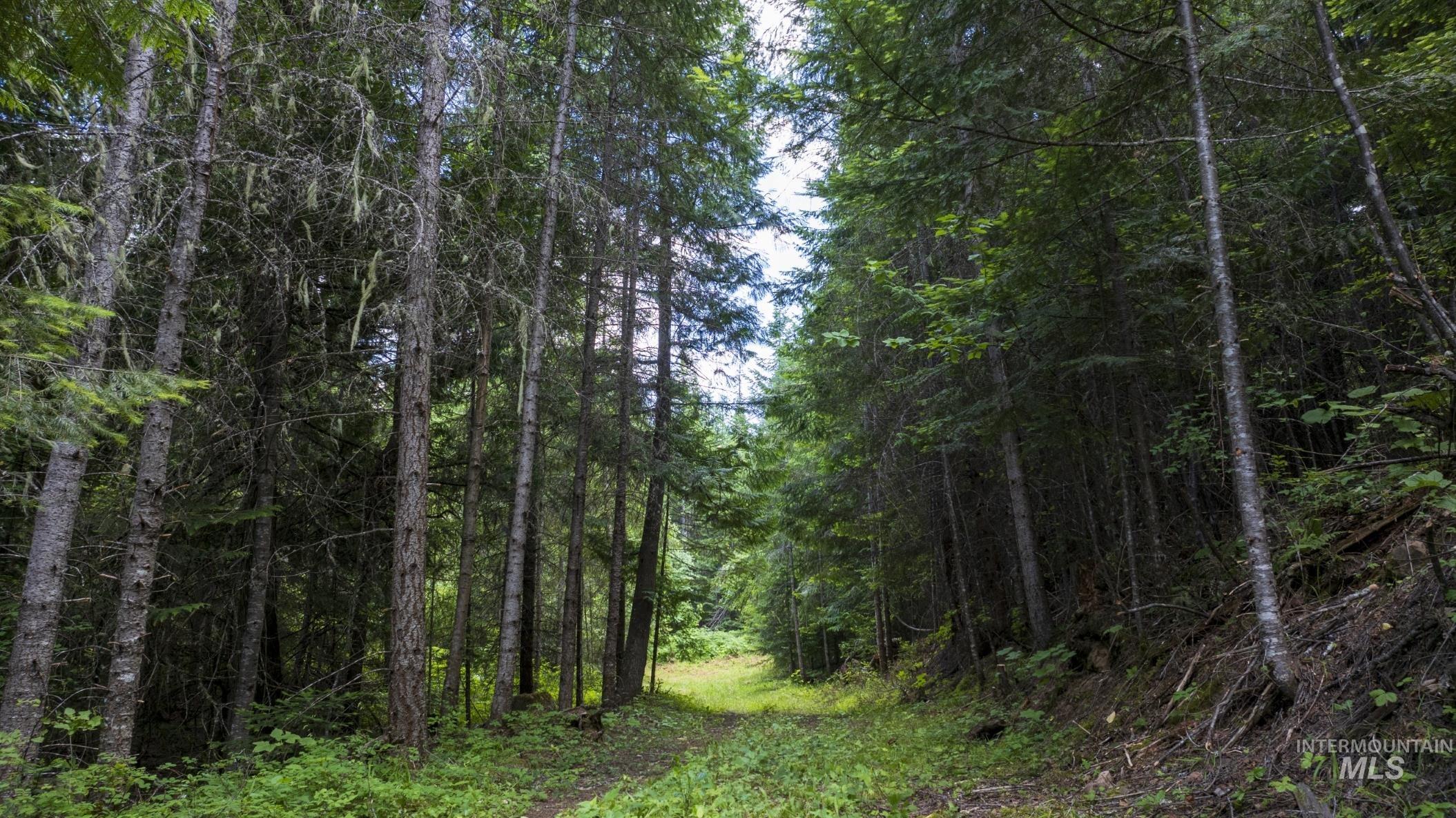 7362 S Dicks Creek Rd, Kendrick, Idaho 83537, Land For Sale, Price $289,900, 98915744