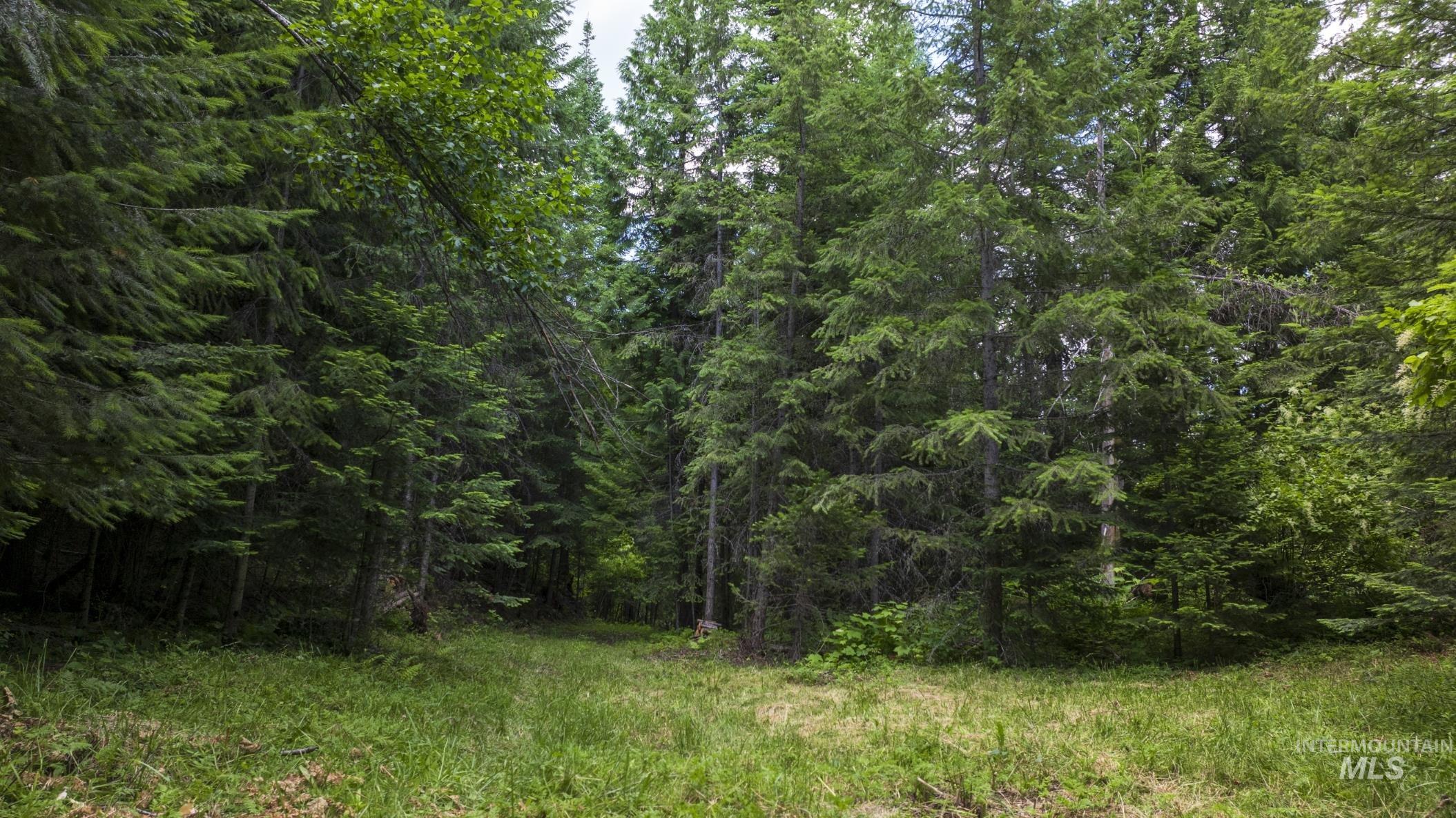 7362 S Dicks Creek Rd, Kendrick, Idaho 83537, Land For Sale, Price $289,900, 98915744