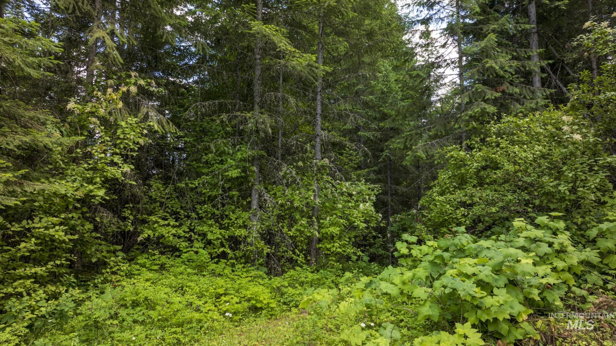 7362 S Dicks Creek Rd, Kendrick, Idaho 83537, Land For Sale, Price $289,900, 98915744