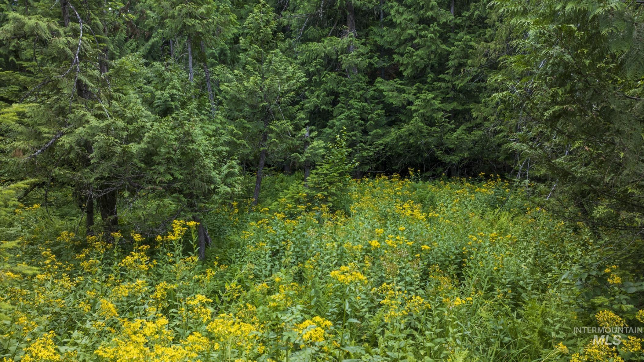 7362 S Dicks Creek Rd, Kendrick, Idaho 83537, Land For Sale, Price $289,900, 98915744