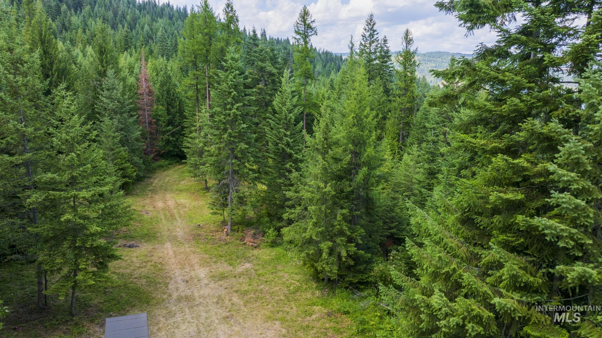 7362 S Dicks Creek Rd, Kendrick, Idaho 83537, Land For Sale, Price $289,900, 98915744