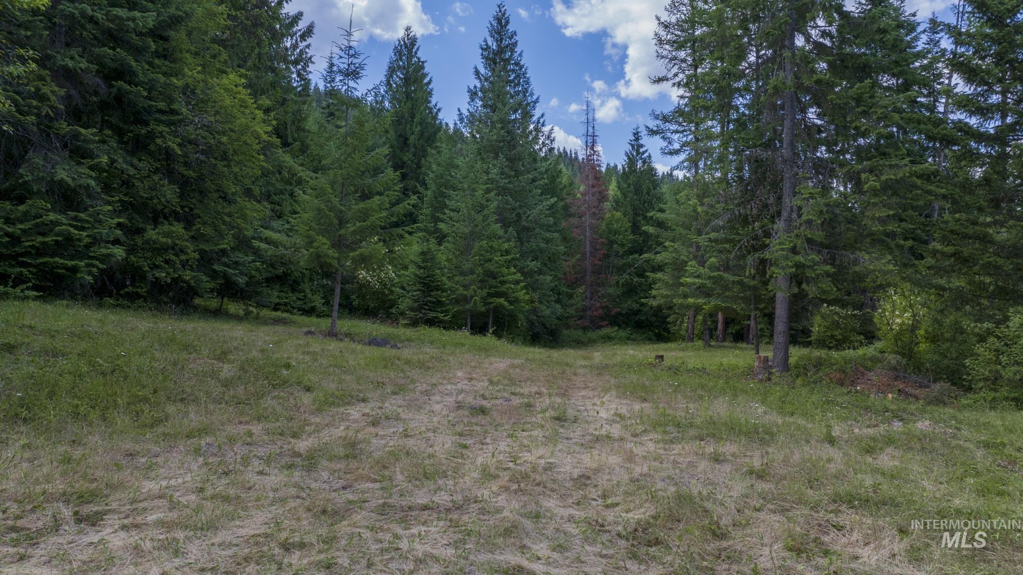 7362 S Dicks Creek Rd, Kendrick, Idaho 83537, Land For Sale, Price $289,900, 98915744