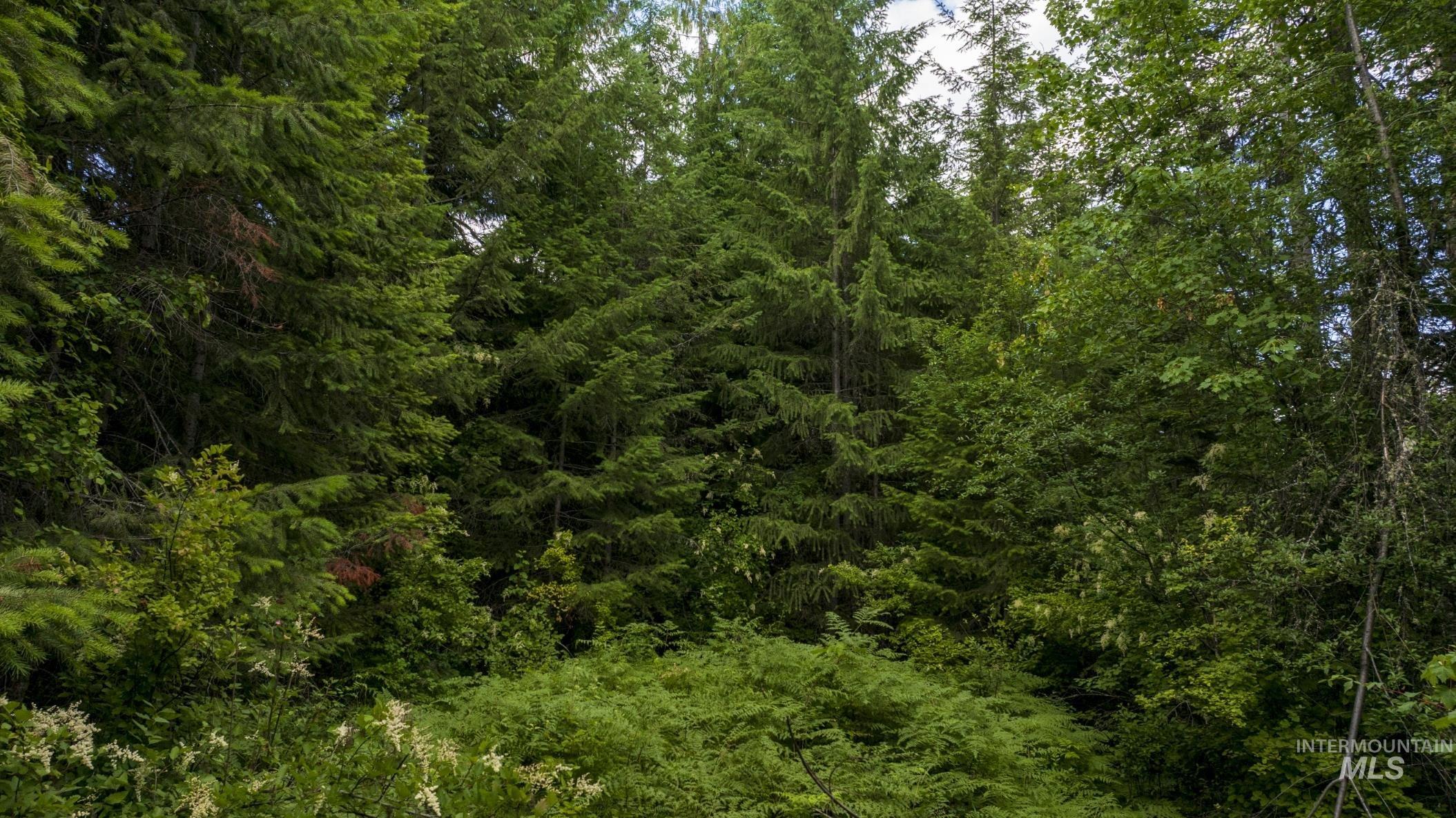 7362 S Dicks Creek Rd, Kendrick, Idaho 83537, Land For Sale, Price $289,900, 98915744