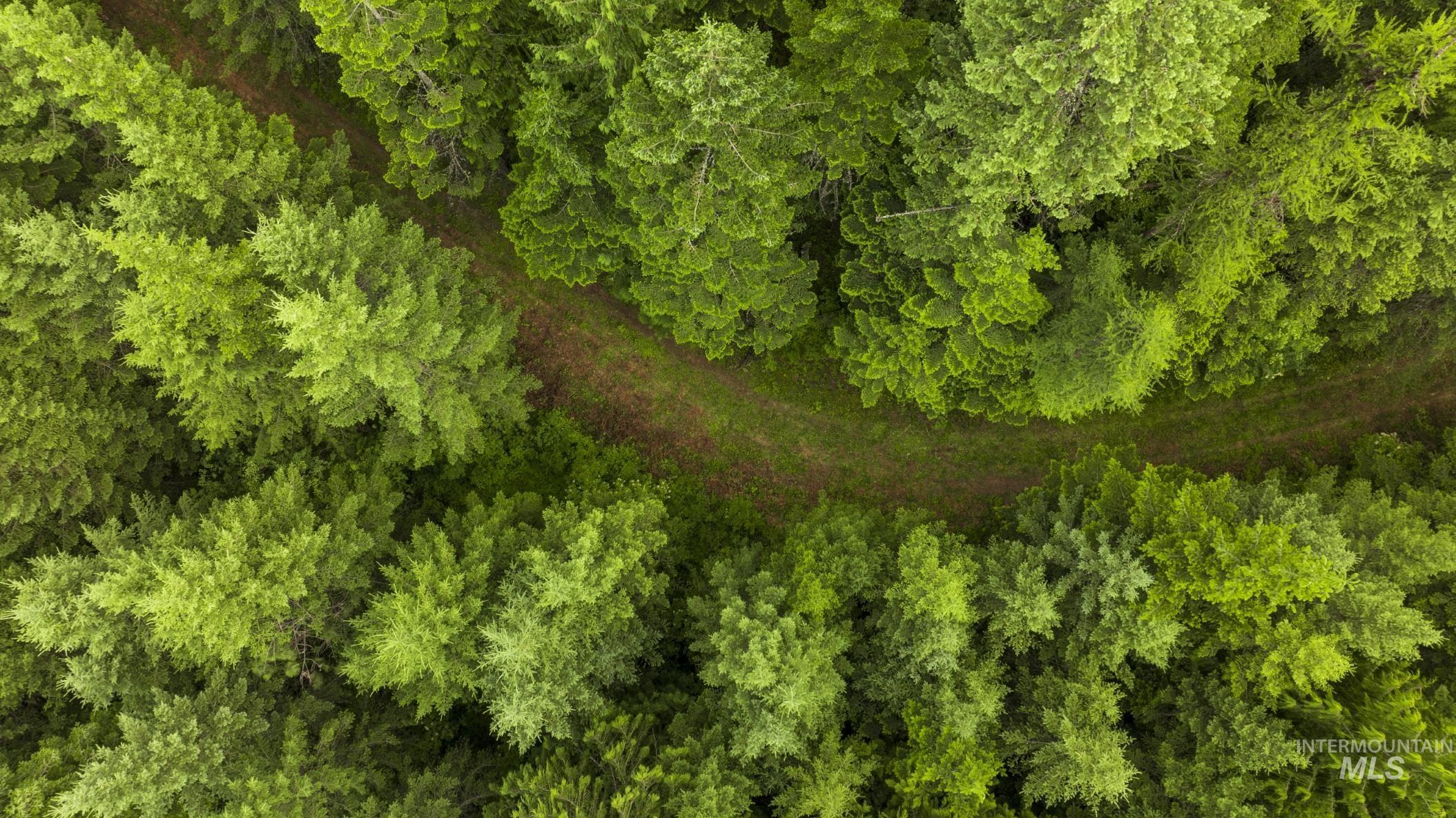 7362 S Dicks Creek Rd, Kendrick, Idaho 83537, Land For Sale, Price $289,900, 98915744