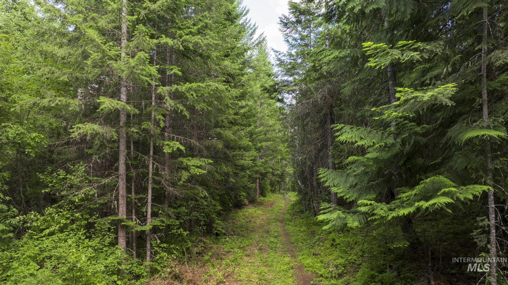 7362 S Dicks Creek Rd, Kendrick, Idaho 83537, Land For Sale, Price $289,900, 98915744