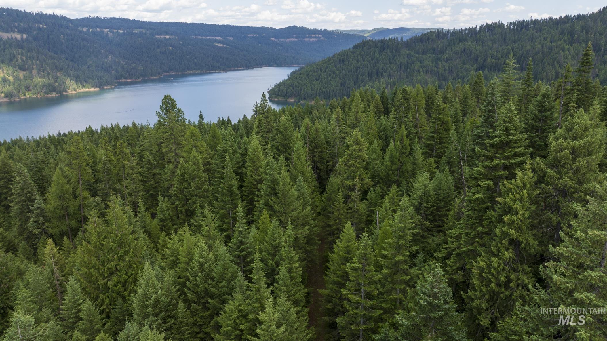 7362 S Dicks Creek Rd, Kendrick, Idaho 83537, Land For Sale, Price $289,900, 98915744