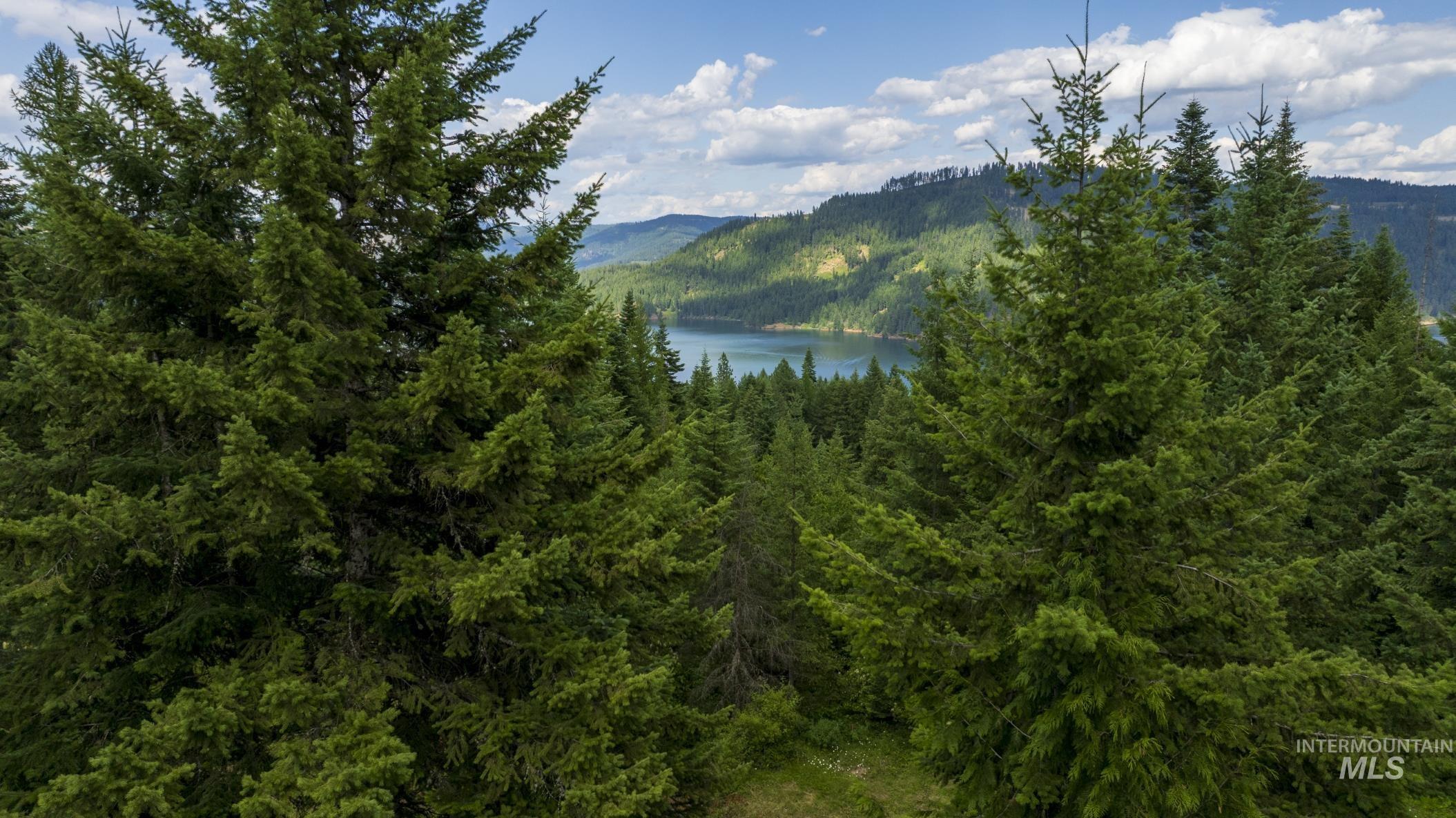 7362 S Dicks Creek Rd, Kendrick, Idaho 83537, Land For Sale, Price $289,900, 98915744