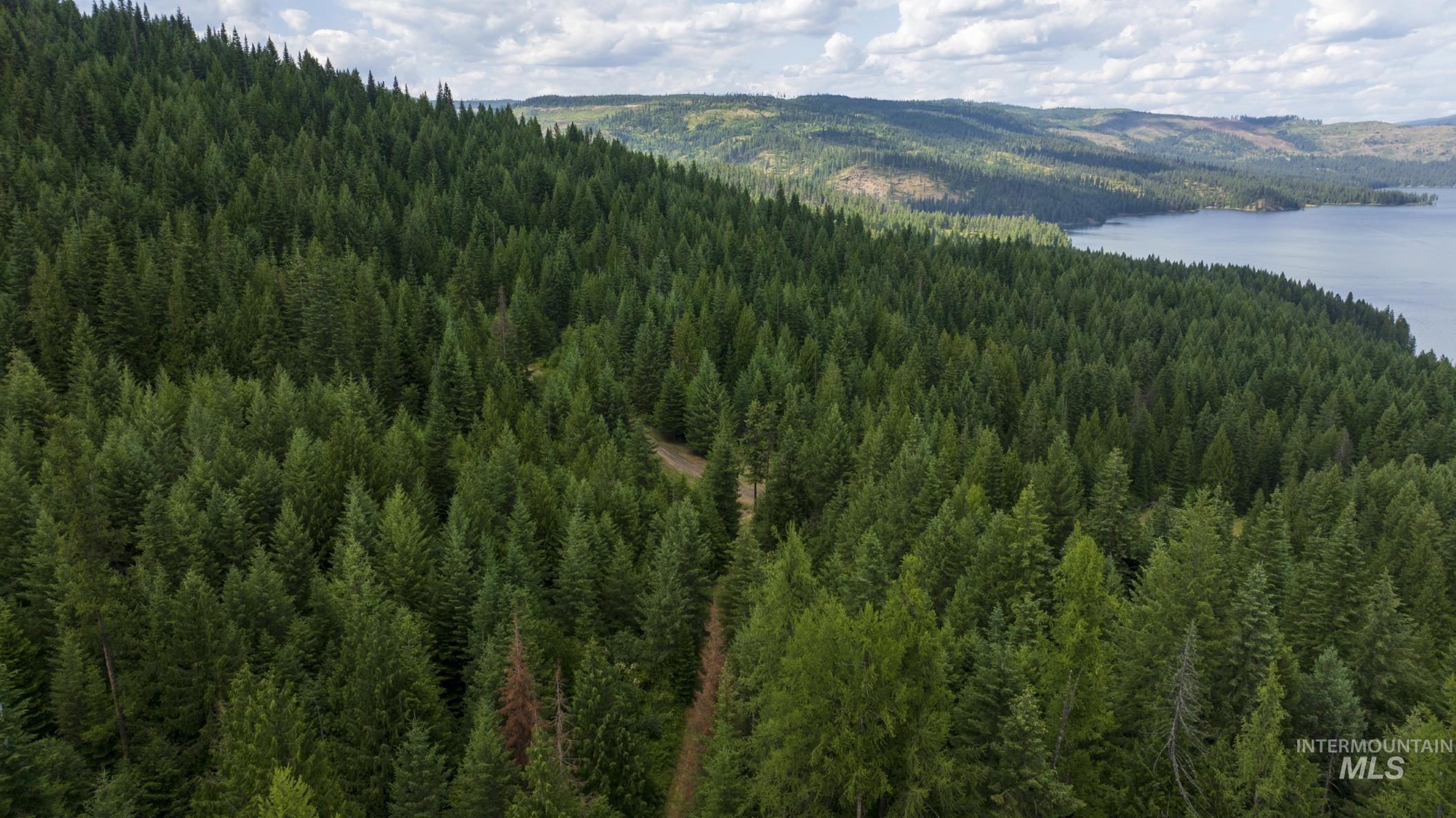 7362 S Dicks Creek Rd, Kendrick, Idaho 83537, Land For Sale, Price $289,900, 98915744