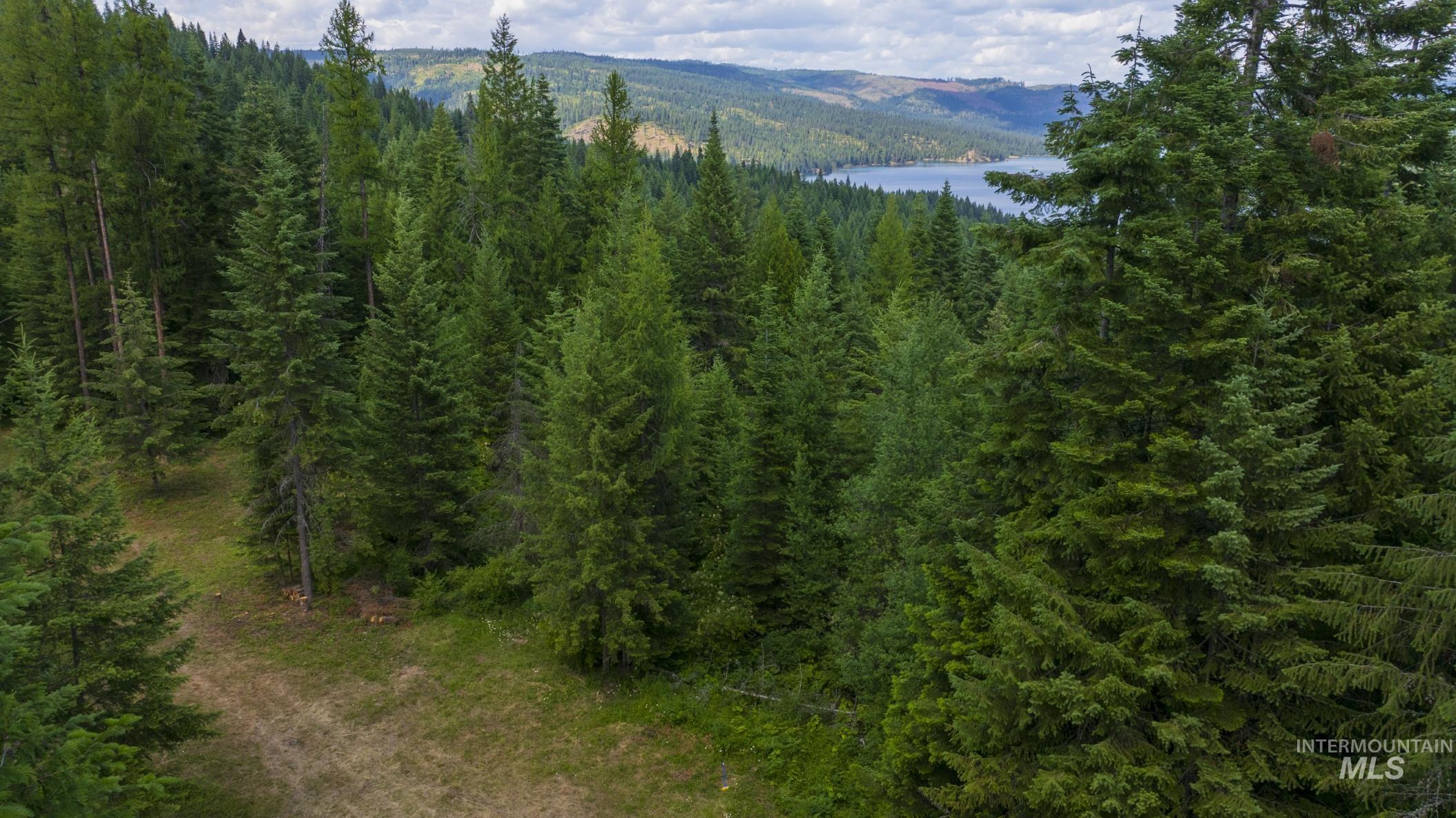 7362 S Dicks Creek Rd, Kendrick, Idaho 83537, Land For Sale, Price $289,900, 98915744