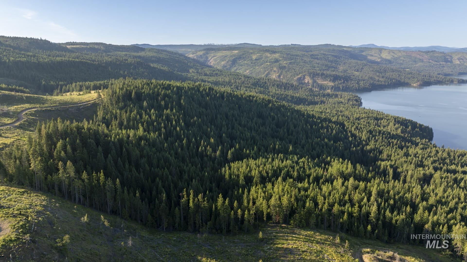 7362 S Dicks Creek Rd, Kendrick, Idaho 83537, Land For Sale, Price $289,900, 98915744