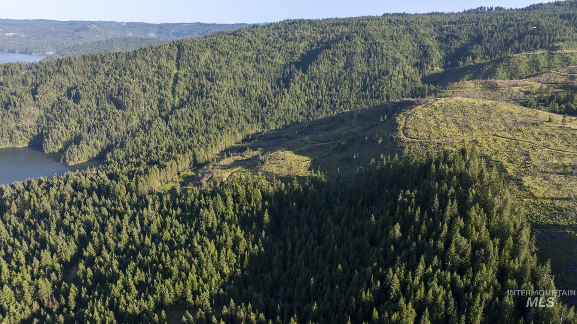 7362 S Dicks Creek Rd, Kendrick, Idaho 83537, Land For Sale, Price $289,900, 98915744