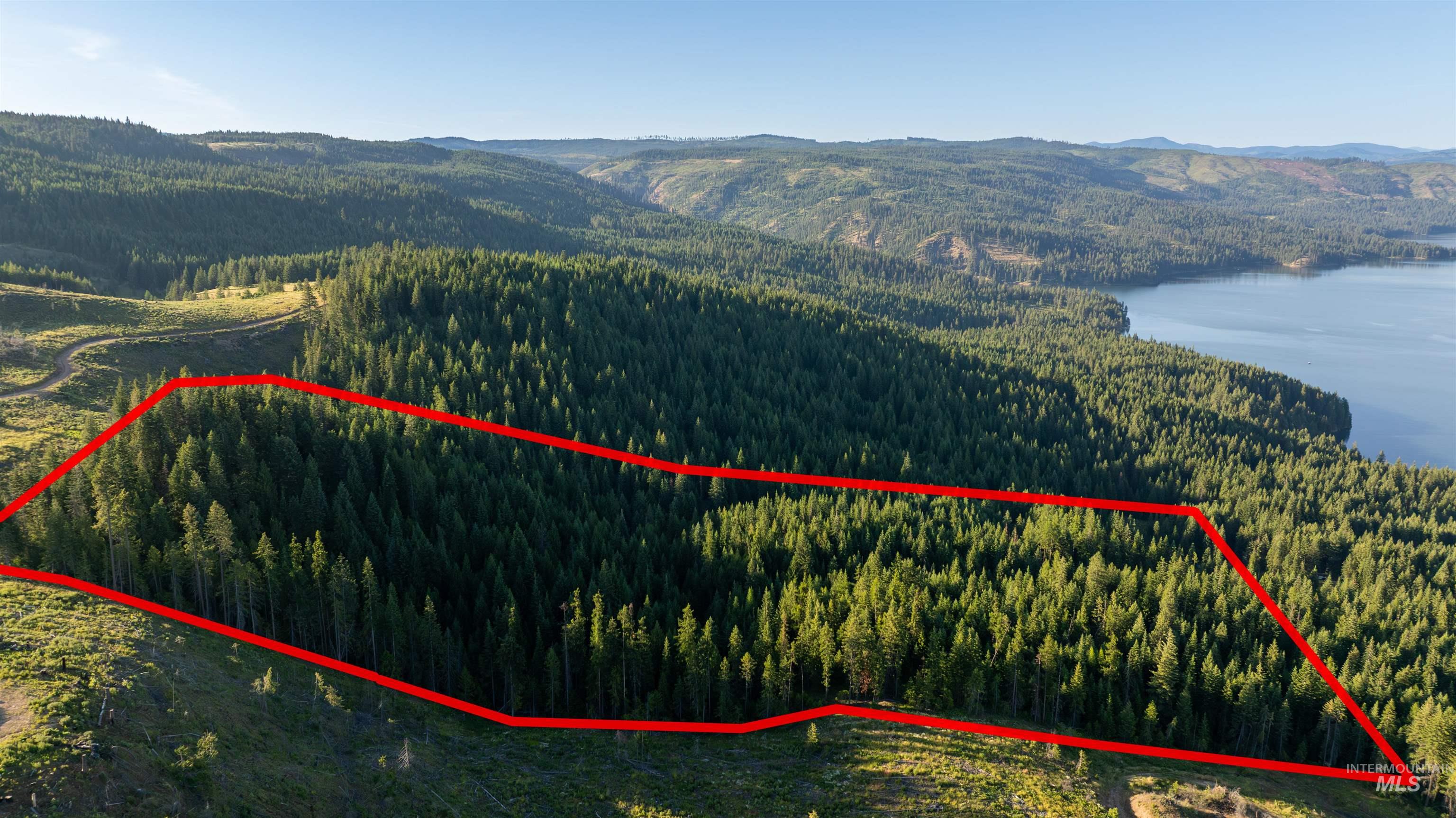 7362 S Dicks Creek Rd, Kendrick, Idaho 83537, Land For Sale, Price $289,900, 98915744