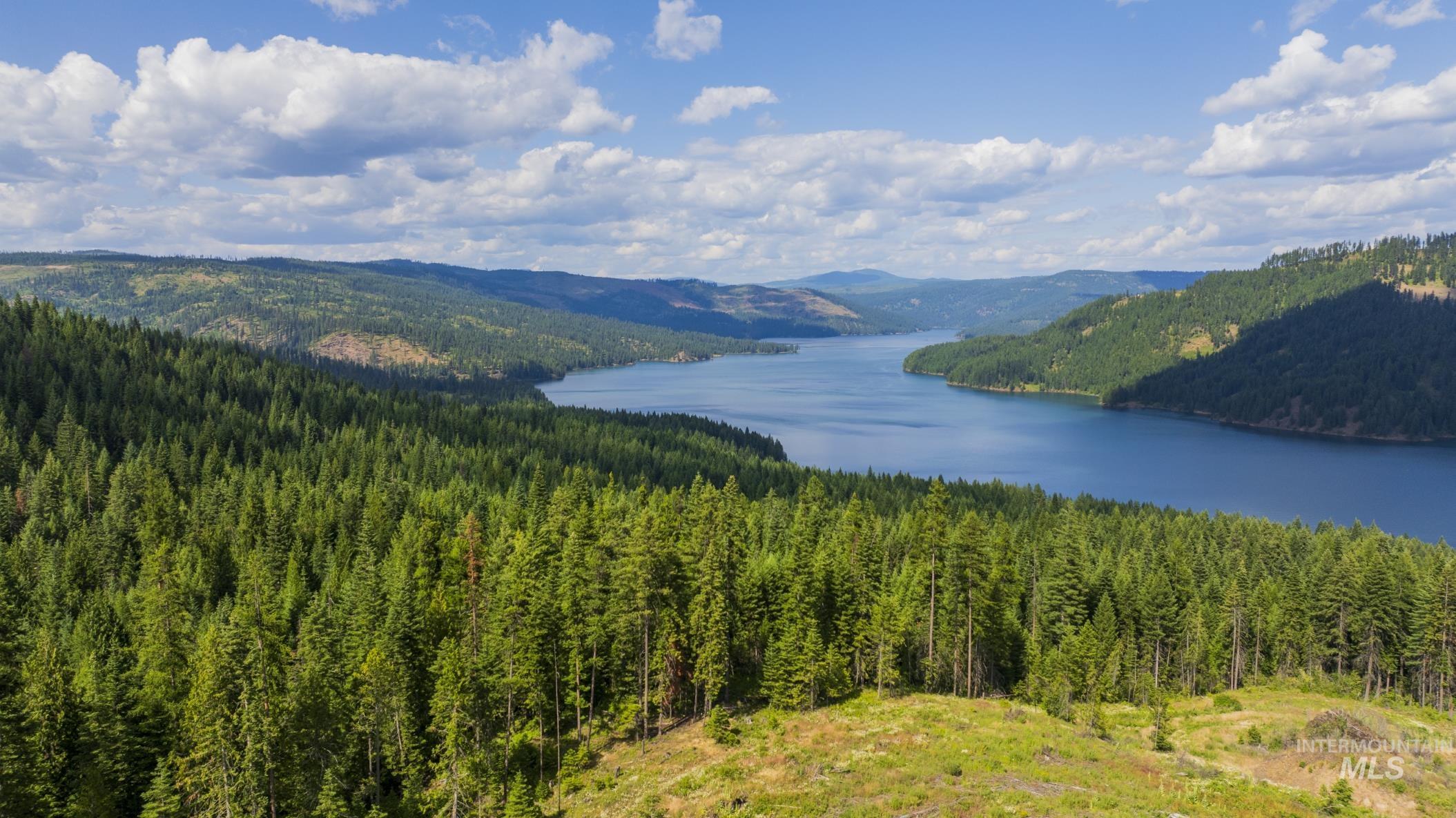 7362 S Dicks Creek Rd, Kendrick, Idaho 83537, Land For Sale, Price $289,900, 98915744