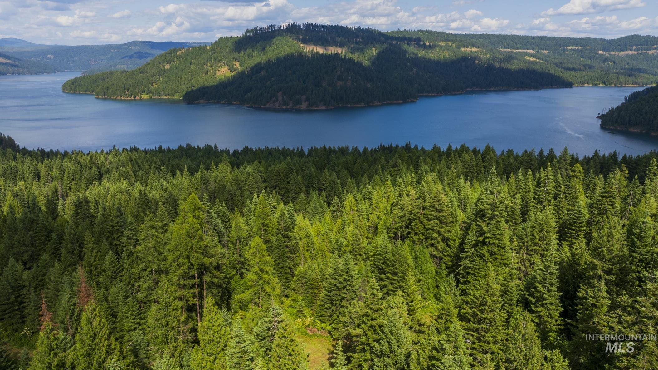 7362 S Dicks Creek Rd, Kendrick, Idaho 83537, Land For Sale, Price $289,900, 98915744