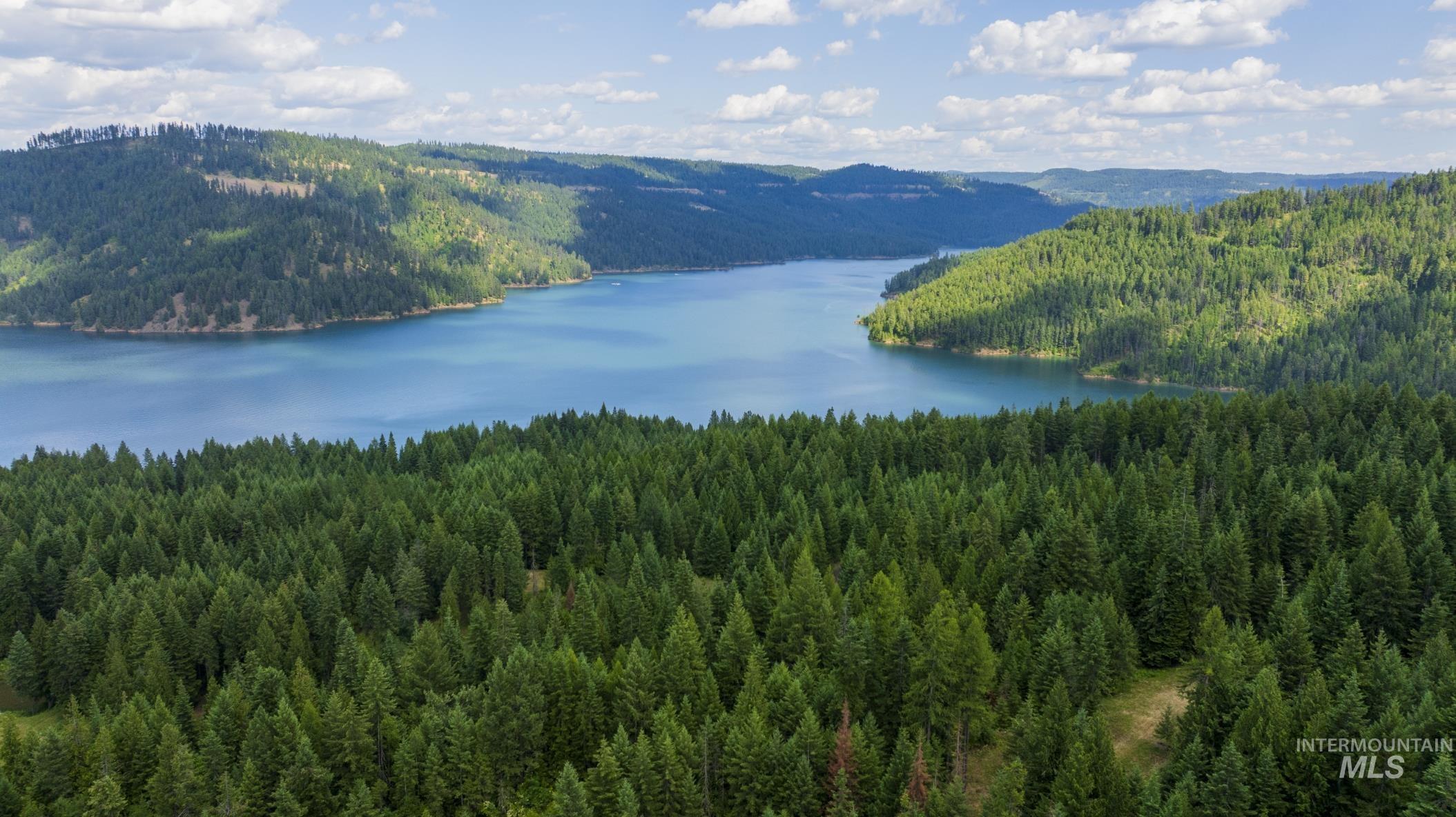 7362 S Dicks Creek Rd, Kendrick, Idaho 83537, Land For Sale, Price $289,900, 98915744