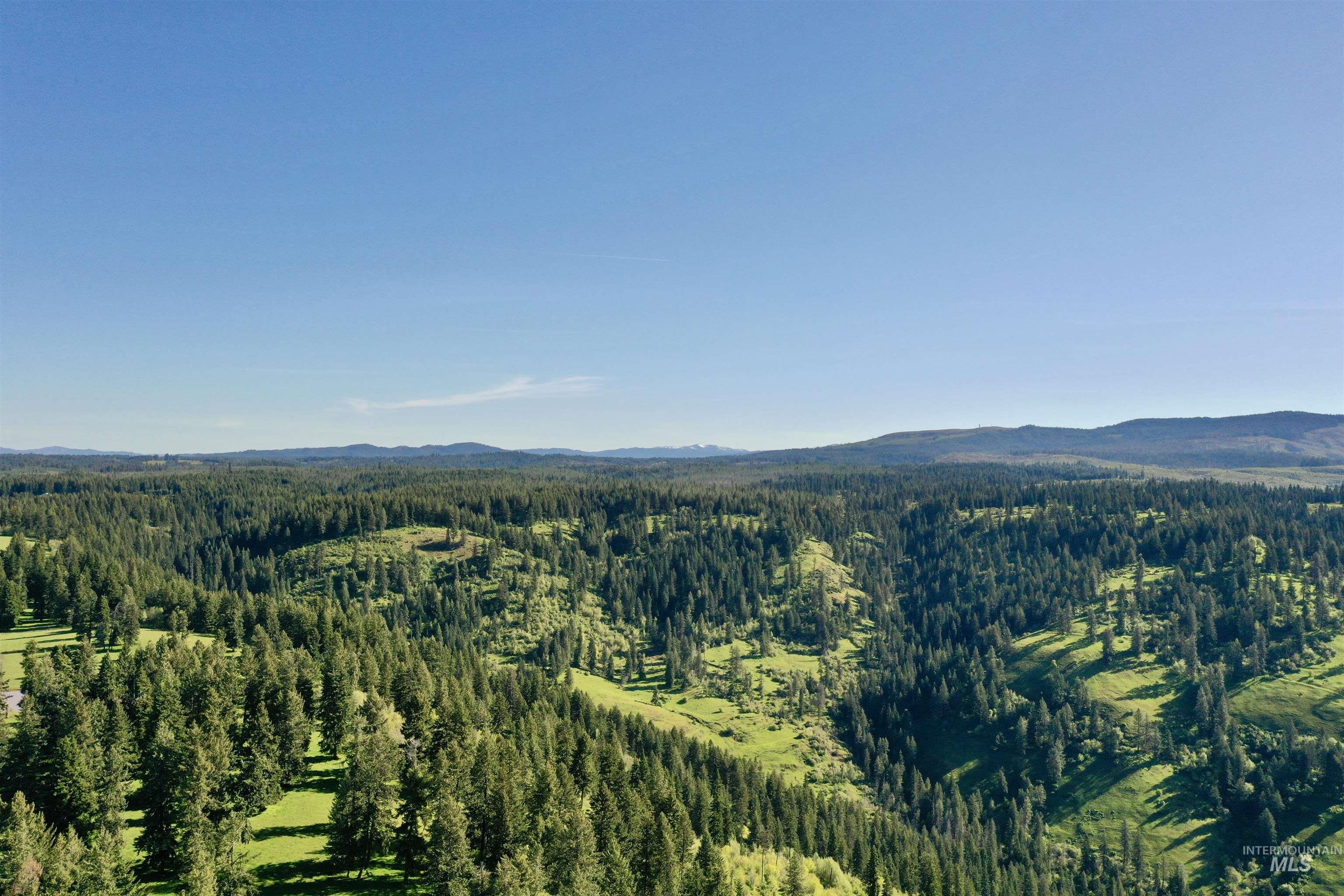 151 151 Ranta Rd, Kooskia, Idaho 83539, 4 Bedrooms, 5 Bathrooms, Farm & Ranch For Sale, Price $7,550,000, 98915858