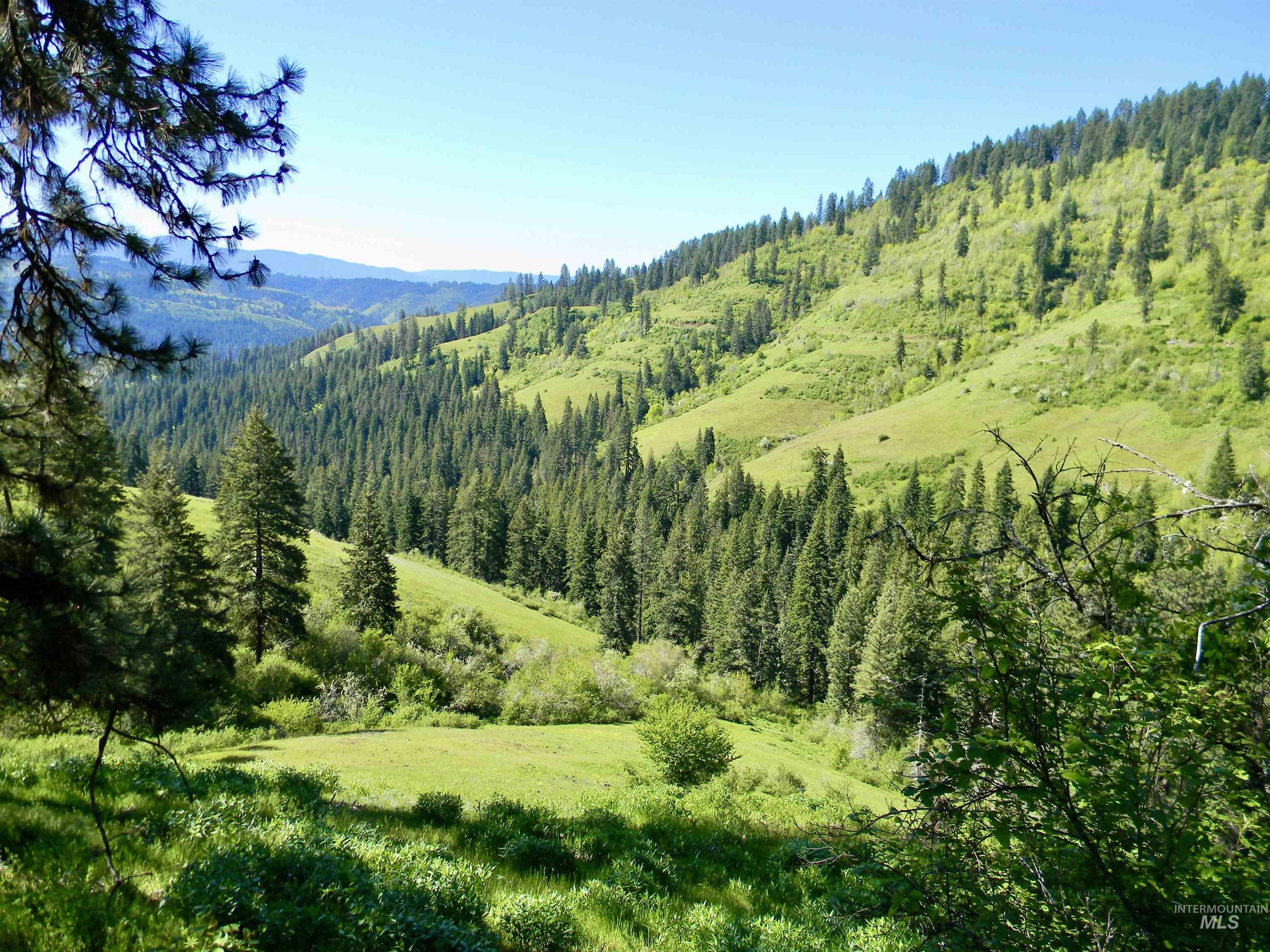 151 151 Ranta Rd, Kooskia, Idaho 83539, 4 Bedrooms, 5 Bathrooms, Farm & Ranch For Sale, Price $7,550,000, 98915858