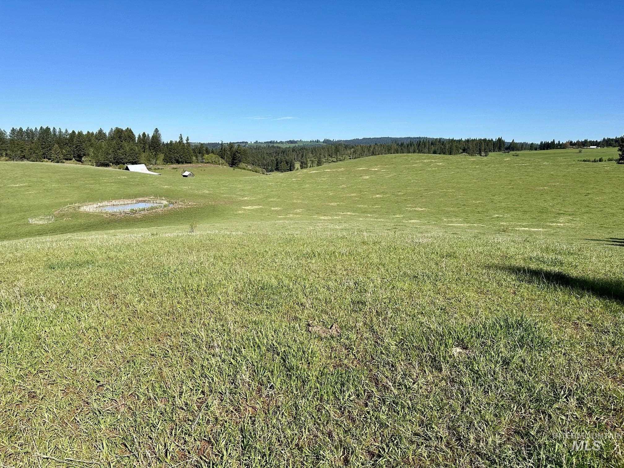 151 151 Ranta Rd, Kooskia, Idaho 83539, 4 Bedrooms, 5 Bathrooms, Farm & Ranch For Sale, Price $7,550,000, 98915858