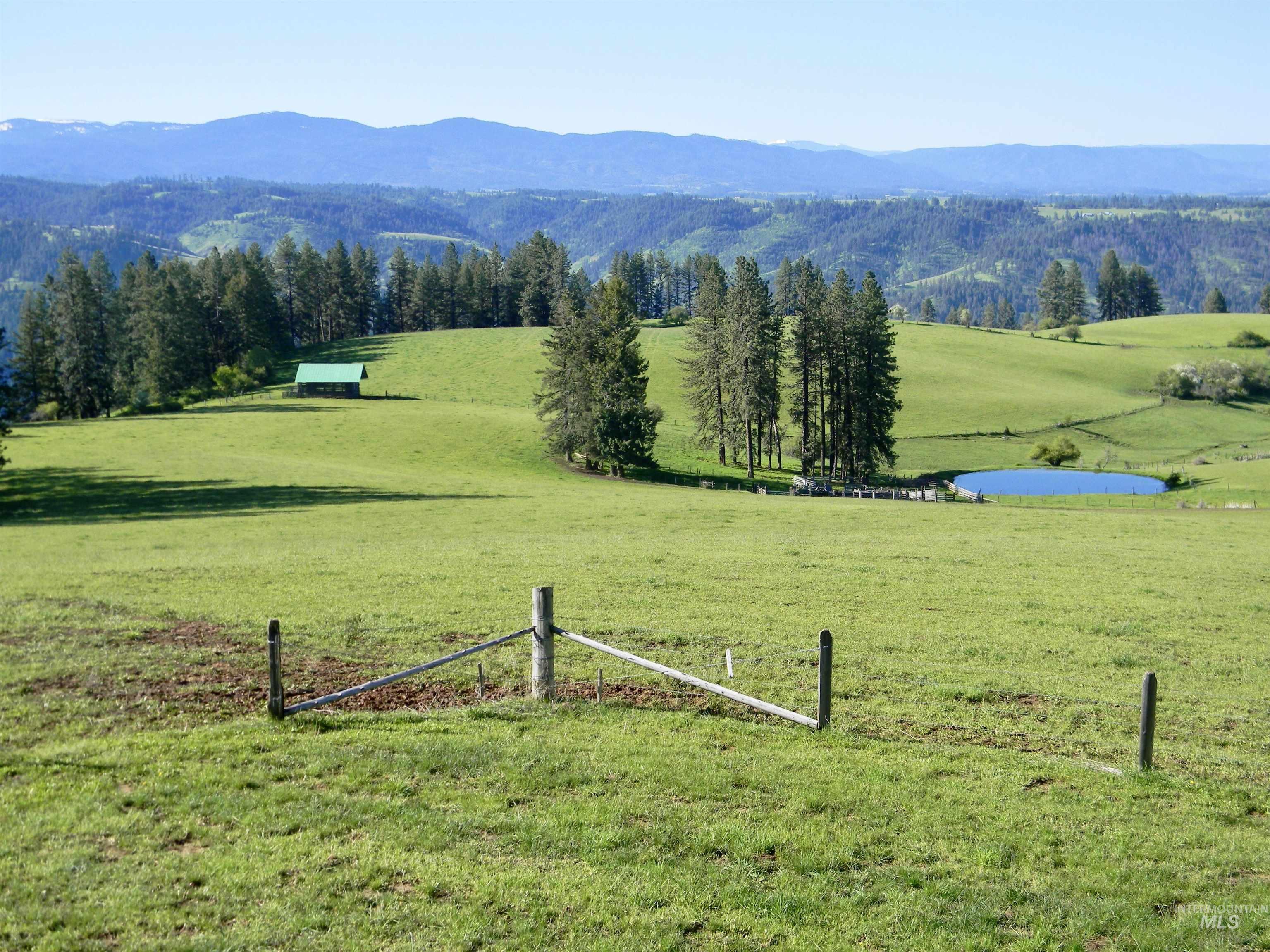 151 151 Ranta Rd, Kooskia, Idaho 83539, 4 Bedrooms, 5 Bathrooms, Farm & Ranch For Sale, Price $7,550,000, 98915858