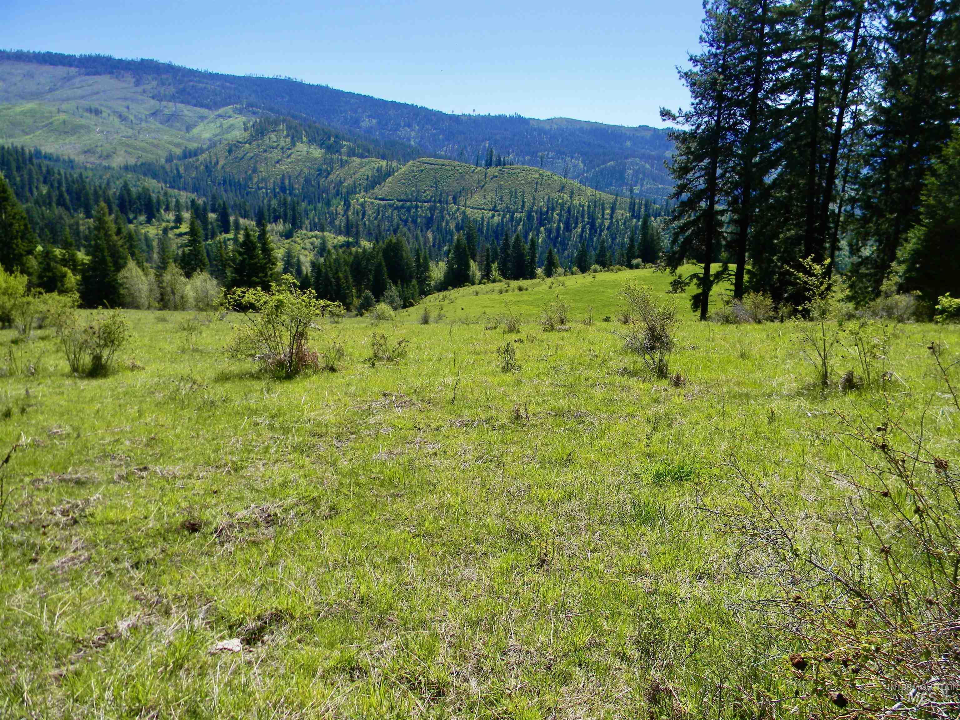 151 151 Ranta Rd, Kooskia, Idaho 83539, 4 Bedrooms, 5 Bathrooms, Farm & Ranch For Sale, Price $7,550,000, 98915858