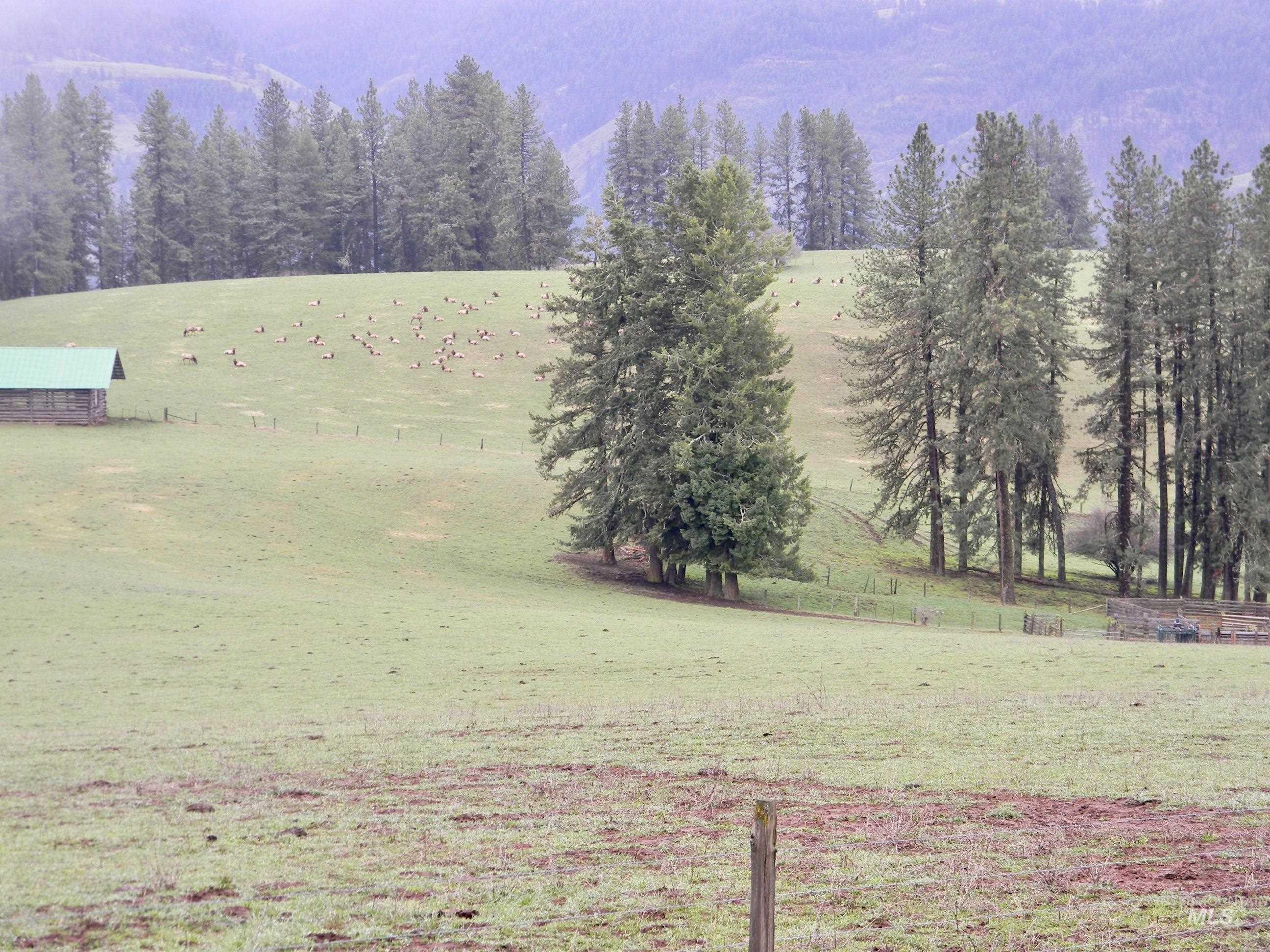 151 151 Ranta Rd, Kooskia, Idaho 83539, 4 Bedrooms, 5 Bathrooms, Farm & Ranch For Sale, Price $7,550,000, 98915858