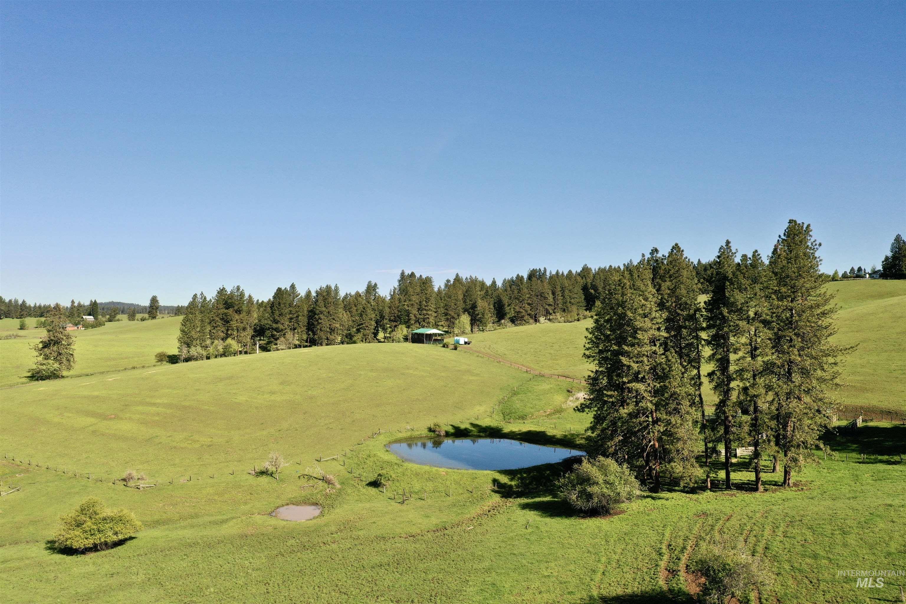 151 151 Ranta Rd, Kooskia, Idaho 83539, 4 Bedrooms, 5 Bathrooms, Farm & Ranch For Sale, Price $7,550,000, 98915858