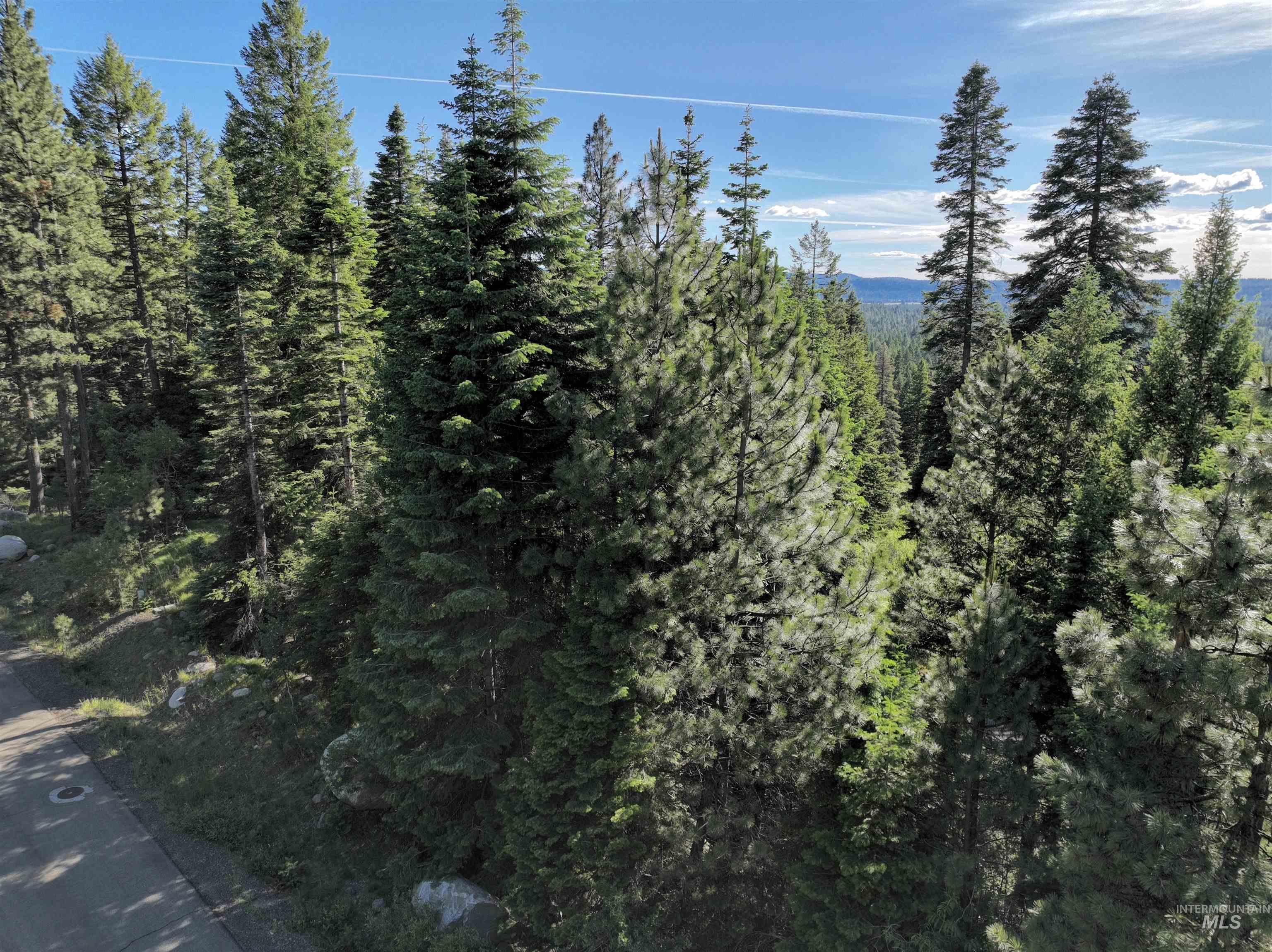 1615 Majestic View Drive, McCall, Idaho 83638, Land For Sale, Price $250,000,MLS 98916045