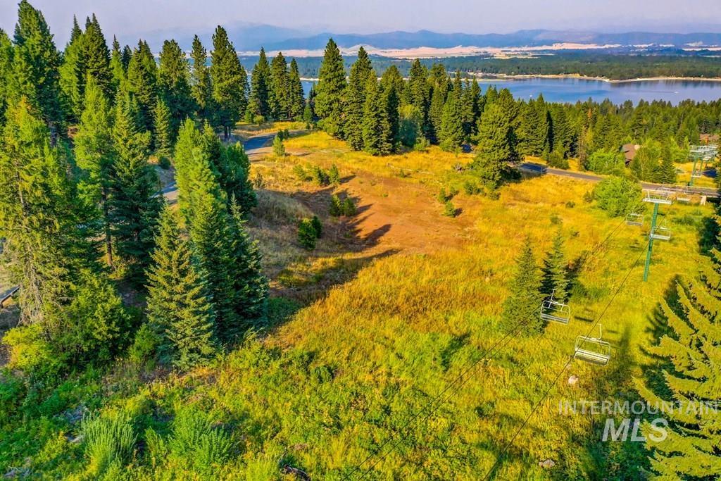 687 Whitewater Drive, Donnelly, Idaho 83615, Land For Sale, Price $650,000,MLS 98916063