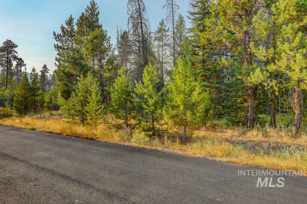 12 Golden Eagle Court, Donnelly, Idaho 83615, Land For Sale, Price $195,000,MLS 98916102
