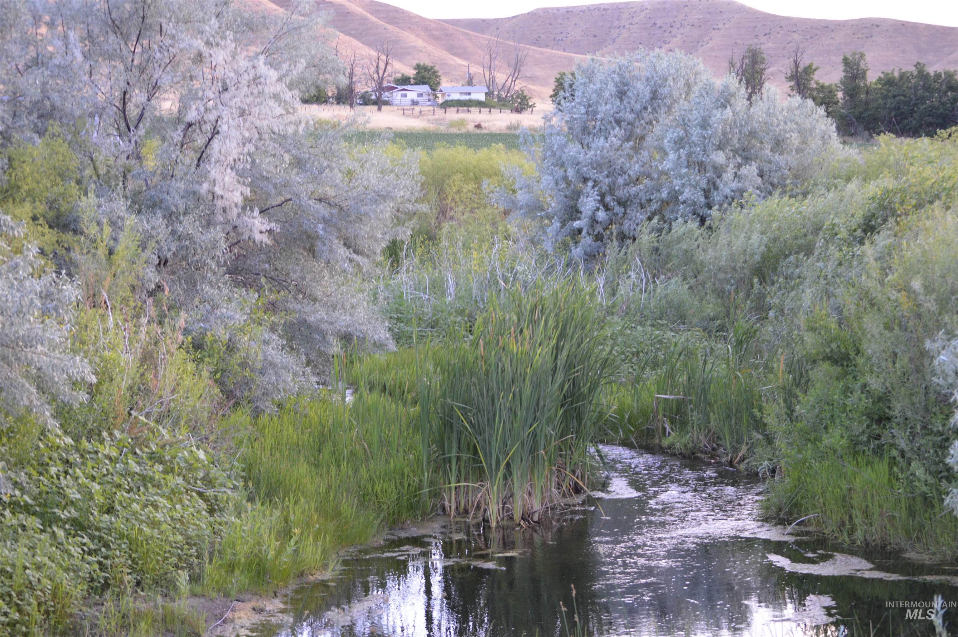 6075 Big Willow Rd, Payette, Idaho 83661, 4 Bedrooms, 2 Bathrooms, Farm & Ranch For Sale, Price $9,470,000, 98916193