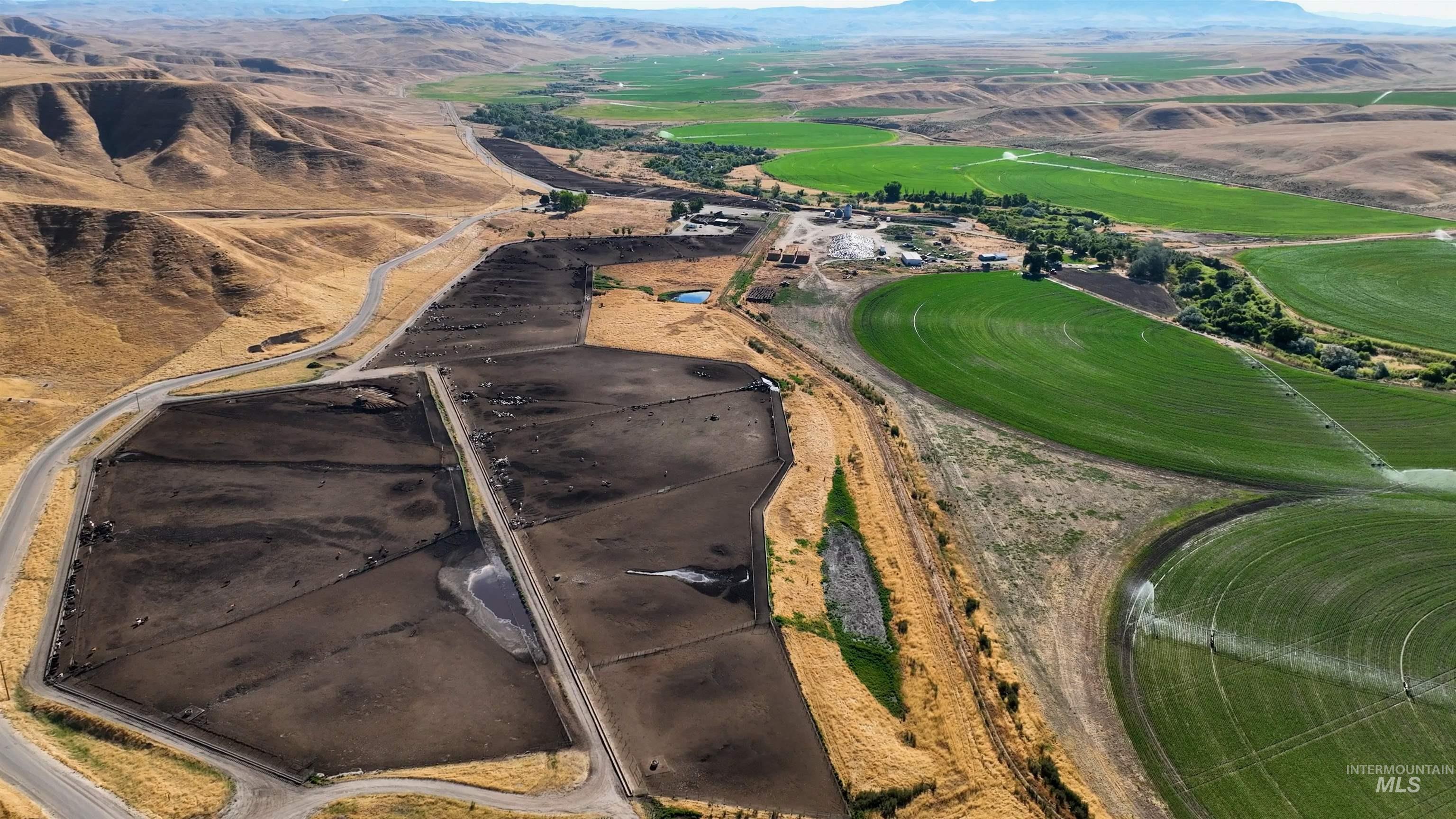 6075 Big Willow Rd, Payette, Idaho 83661, 4 Bedrooms, 2 Bathrooms, Farm & Ranch For Sale, Price $9,470,000, 98916193