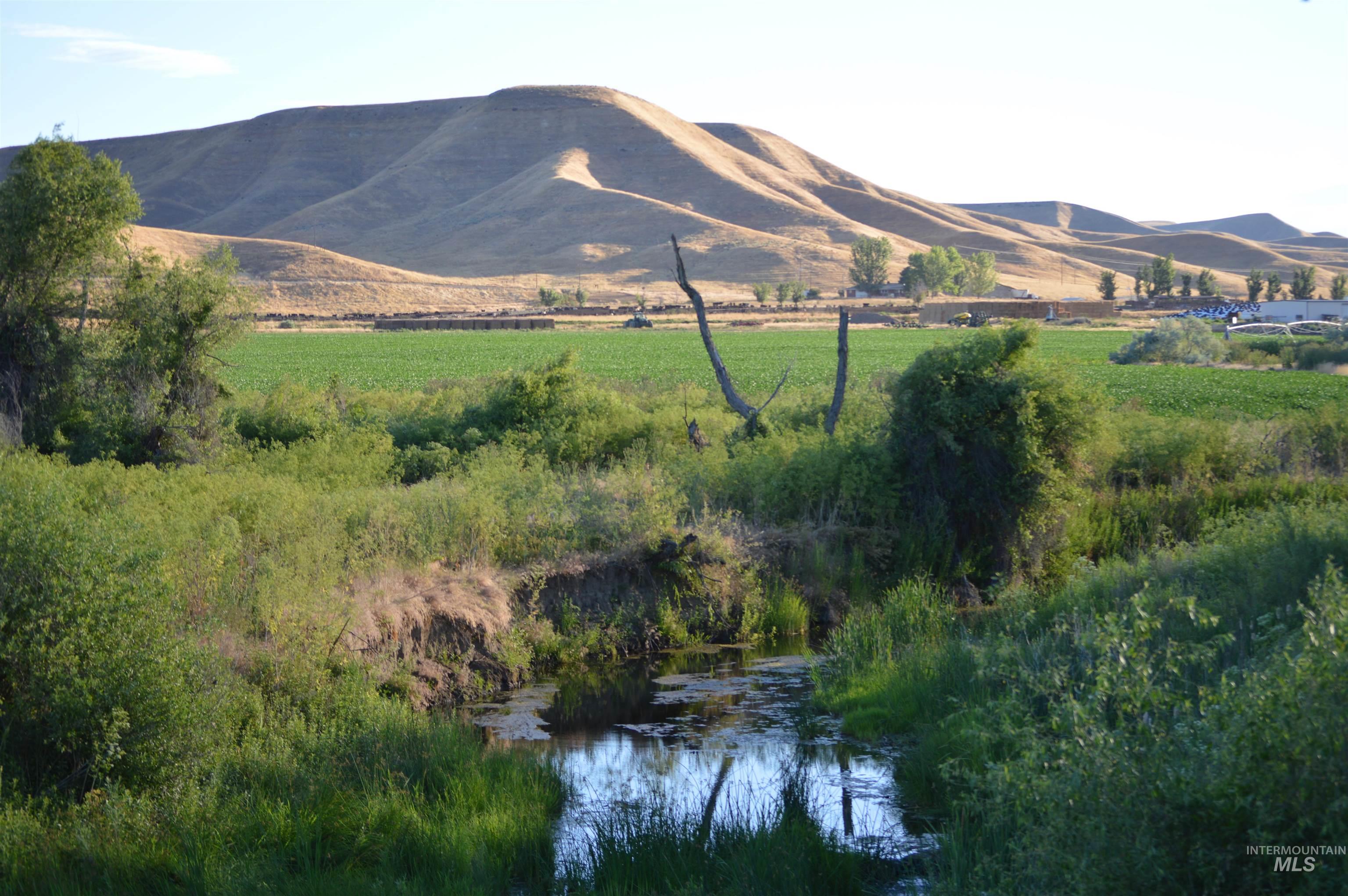 6075 Big Willow Rd, Payette, Idaho 83661, 4 Bedrooms, 2 Bathrooms, Farm & Ranch For Sale, Price $9,470,000, 98916193