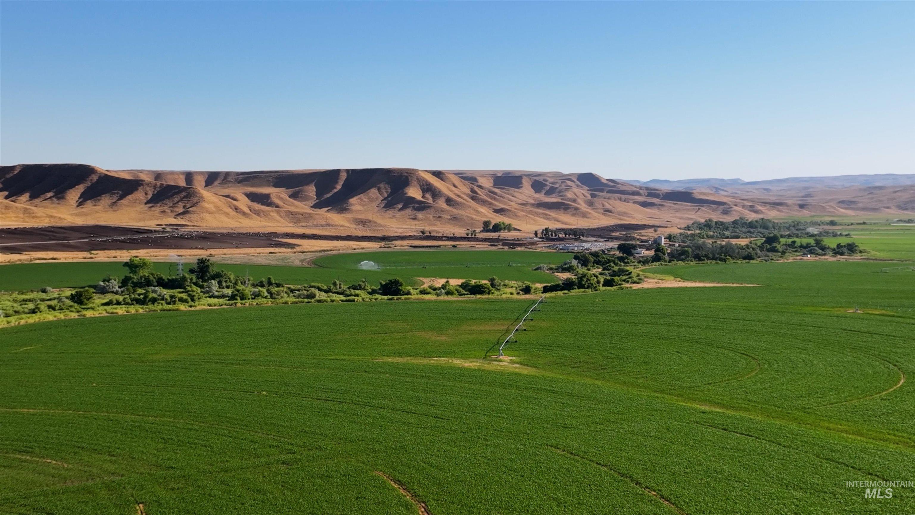 6075 Big Willow Rd, Payette, Idaho 83661, 4 Bedrooms, 2 Bathrooms, Farm & Ranch For Sale, Price $9,470,000, 98916193