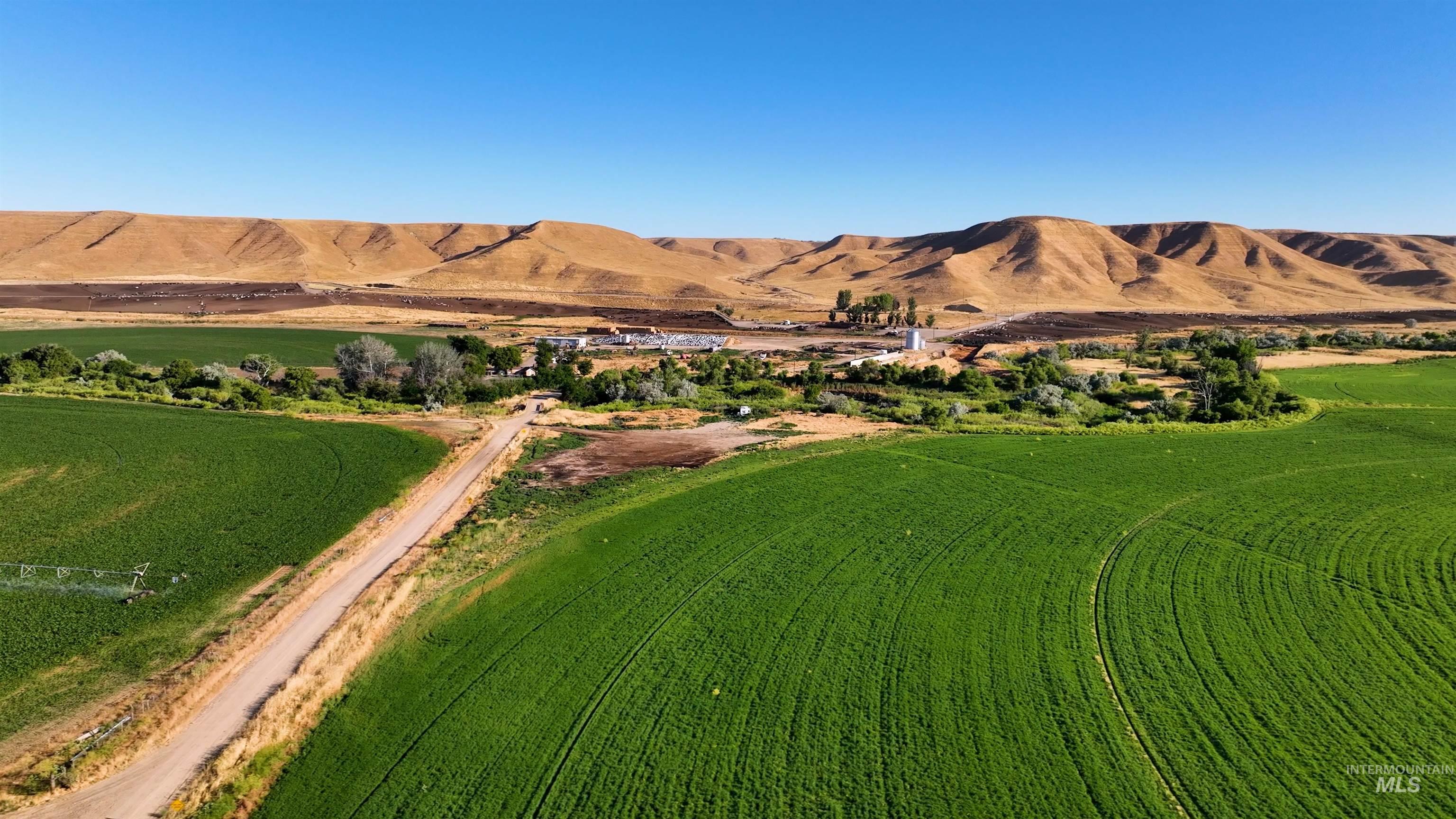 6075 Big Willow Rd, Payette, Idaho 83661, 4 Bedrooms, 2 Bathrooms, Farm & Ranch For Sale, Price $9,470,000, 98916193