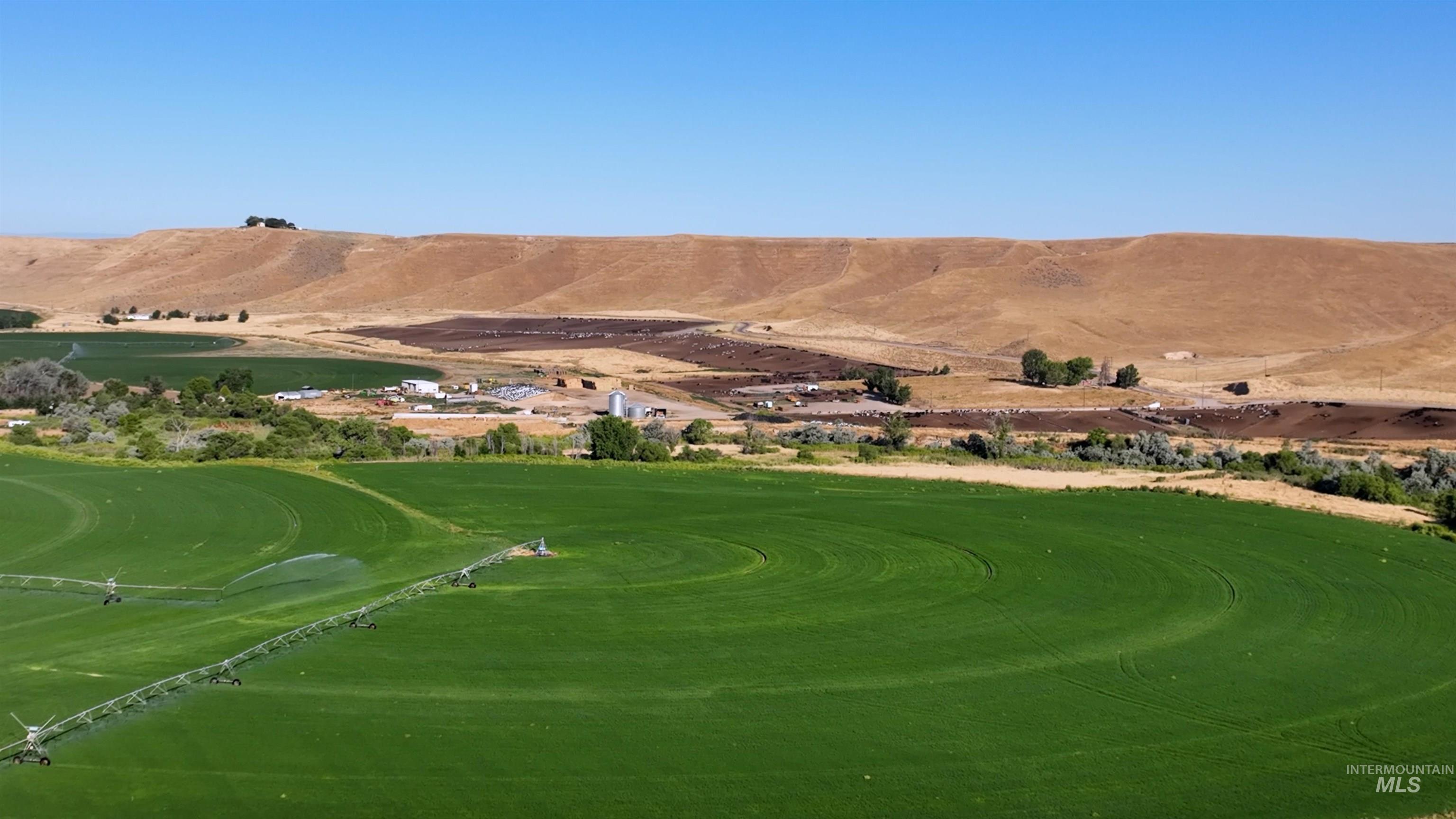 6075 Big Willow Rd, Payette, Idaho 83661, 4 Bedrooms, 2 Bathrooms, Farm & Ranch For Sale, Price $9,470,000, 98916193