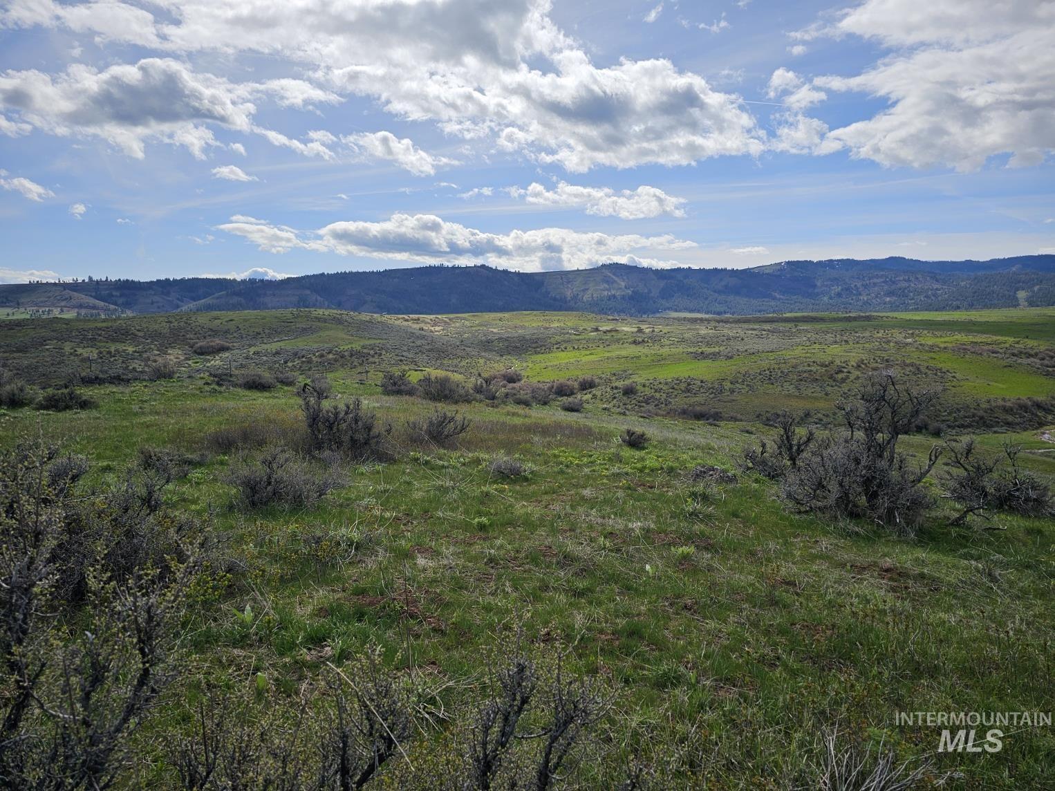 TBD Airport Rd, Council, Idaho 83612, Land For Sale, Price $350,000, 98916377