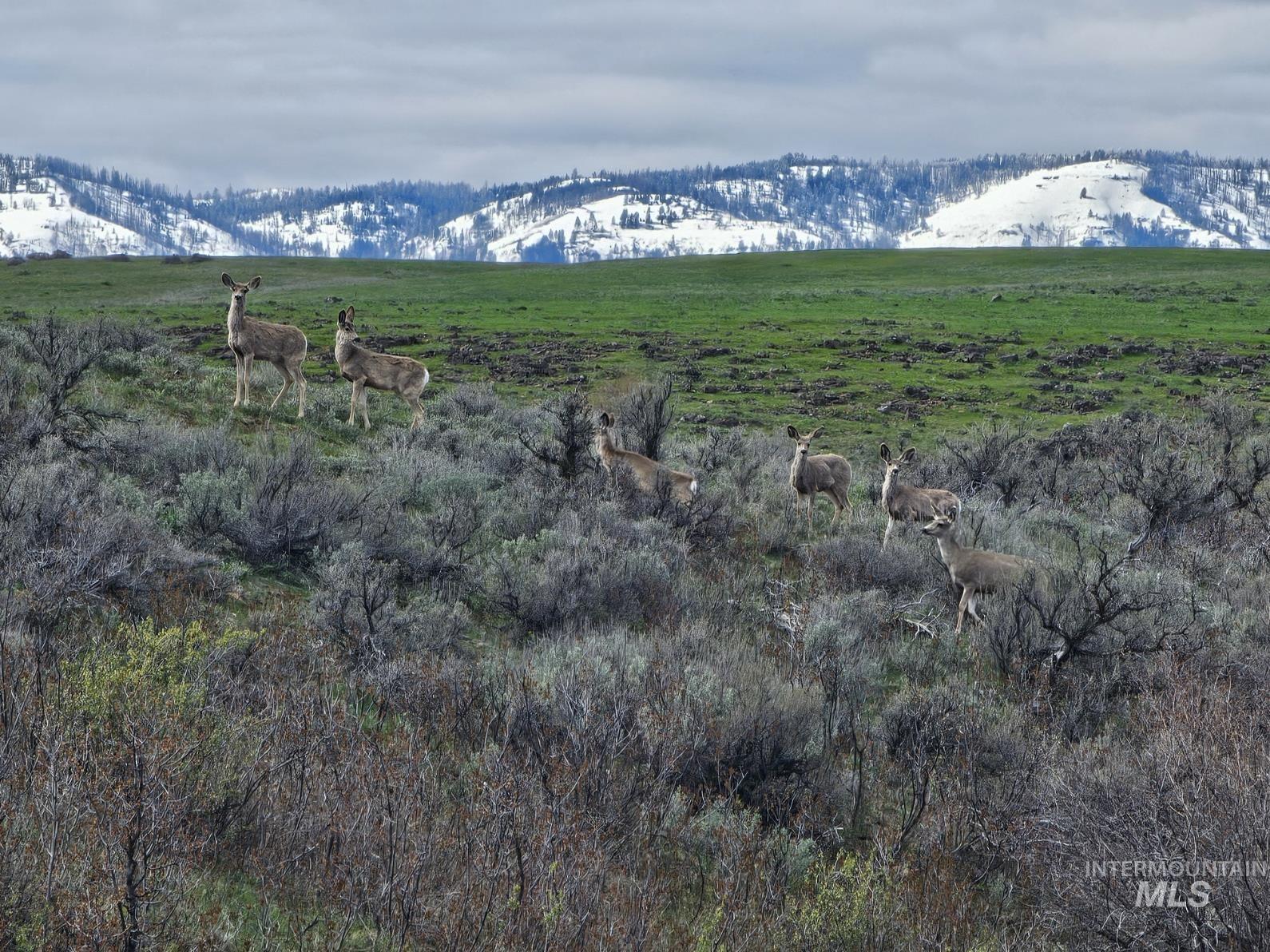 TBD Airport Rd, Council, Idaho 83612, Land For Sale, Price $350,000, 98916377