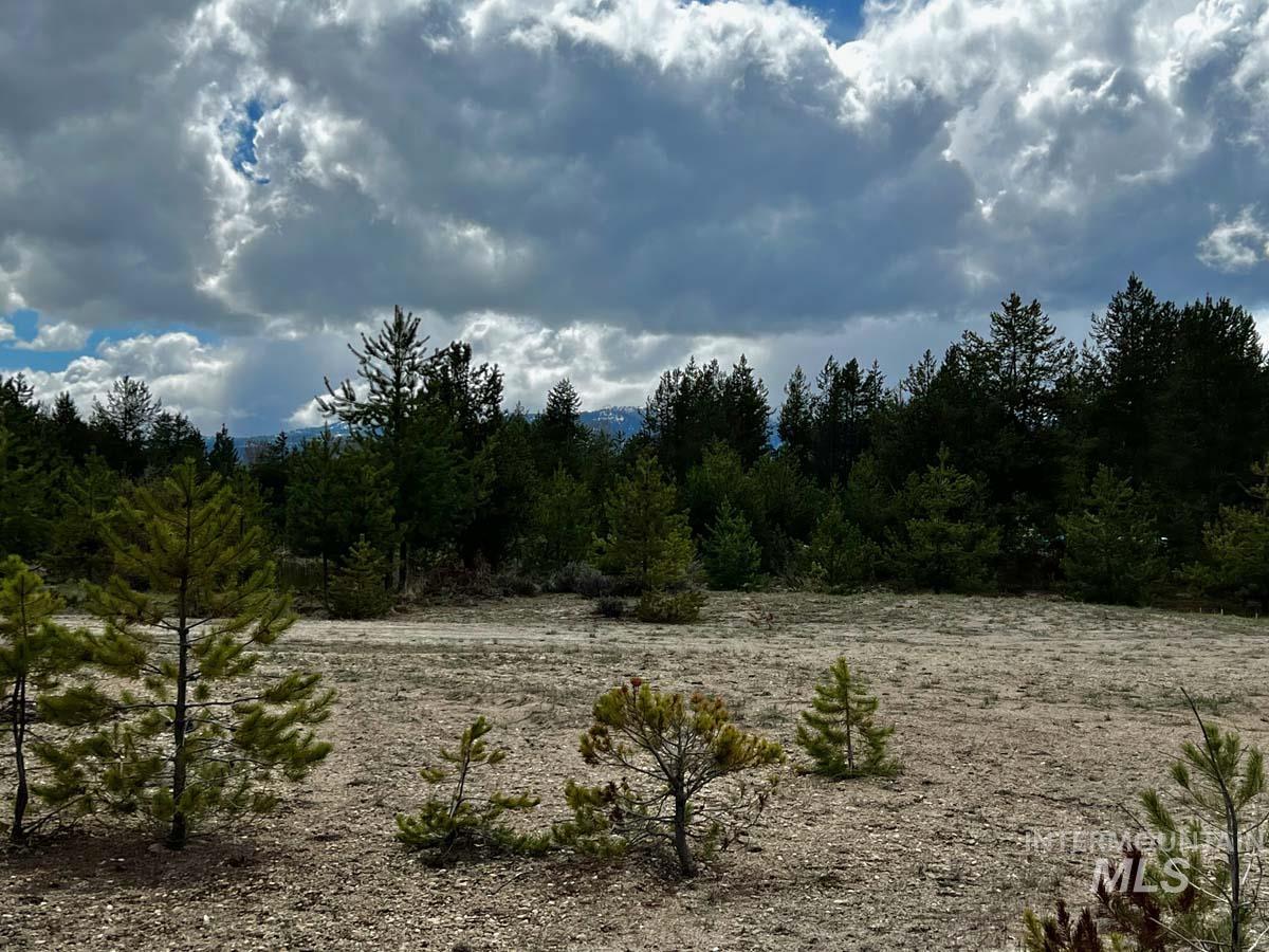 L6 B2 Mineral Drive, Cascade, Idaho 83611-9999, Land For Sale, Price $269,000,MLS 98916379