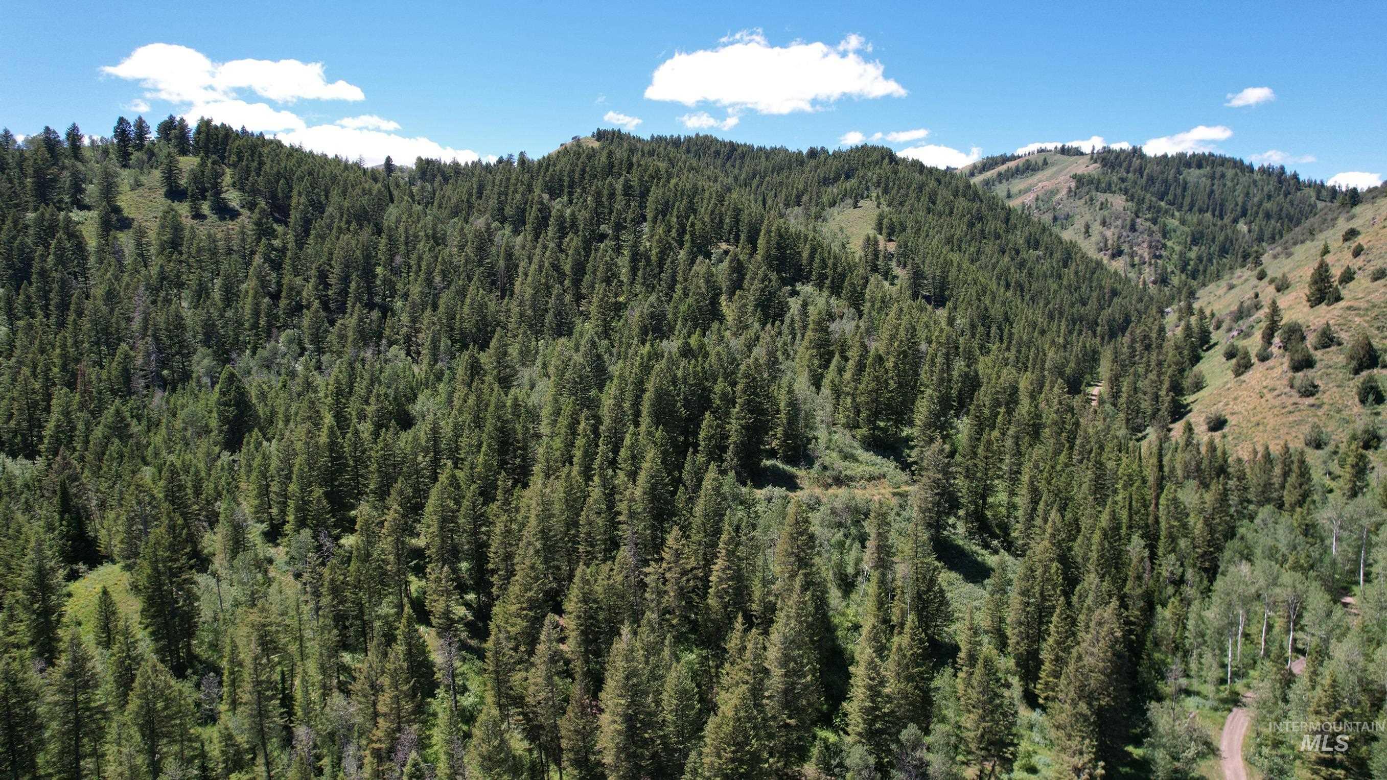 TBD Bull Canyon Road, Rockland, Idaho 83271, Land For Sale, Price $2,675,000, 98916408
