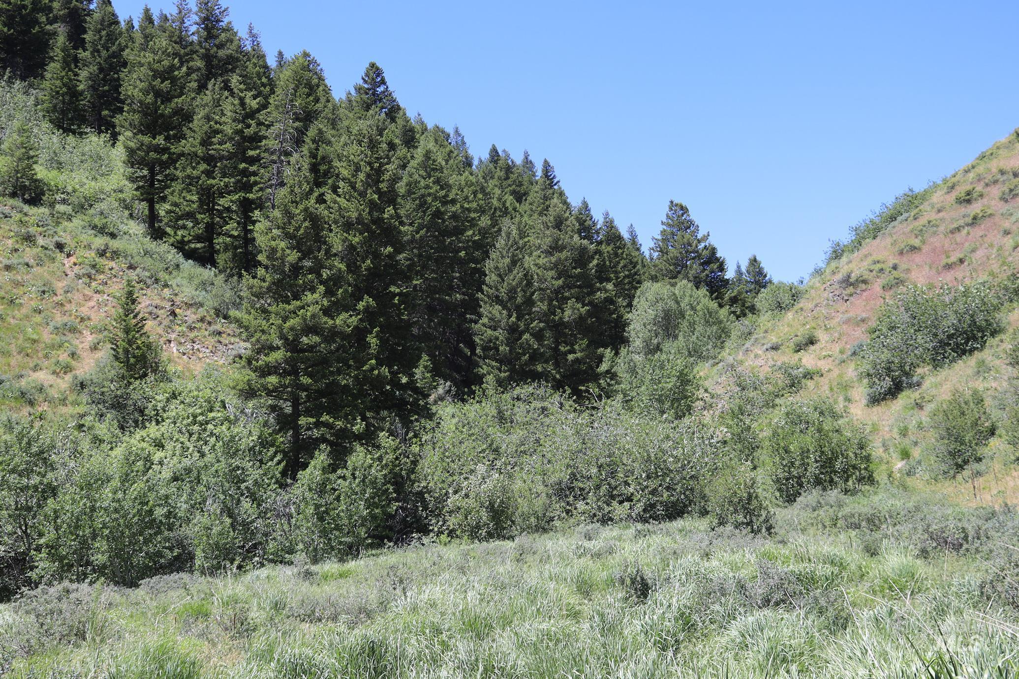 TBD Bull Canyon Road, Rockland, Idaho 83271, Land For Sale, Price $2,675,000, 98916408