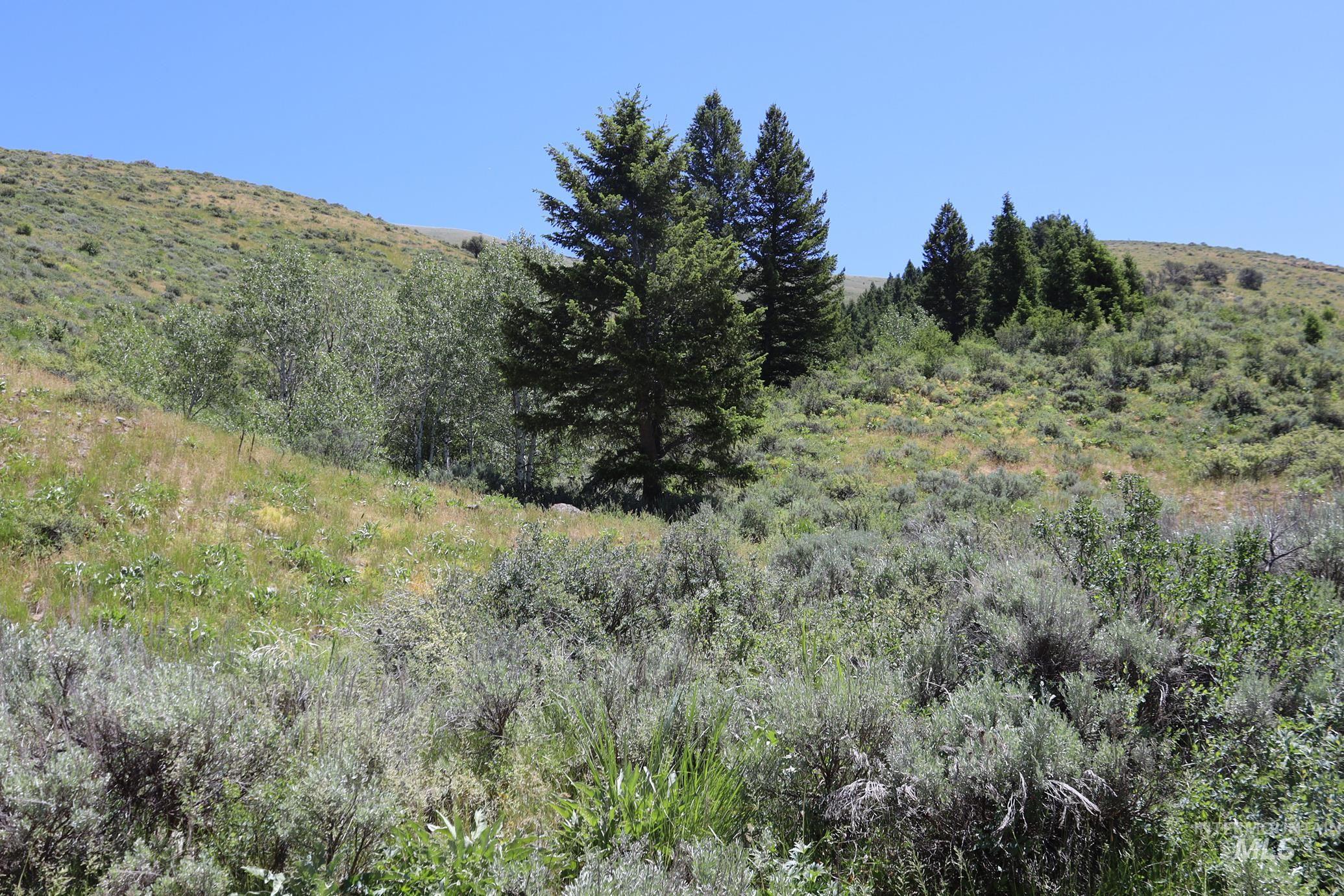 TBD Bull Canyon Road, Rockland, Idaho 83271, Land For Sale, Price $2,675,000, 98916408