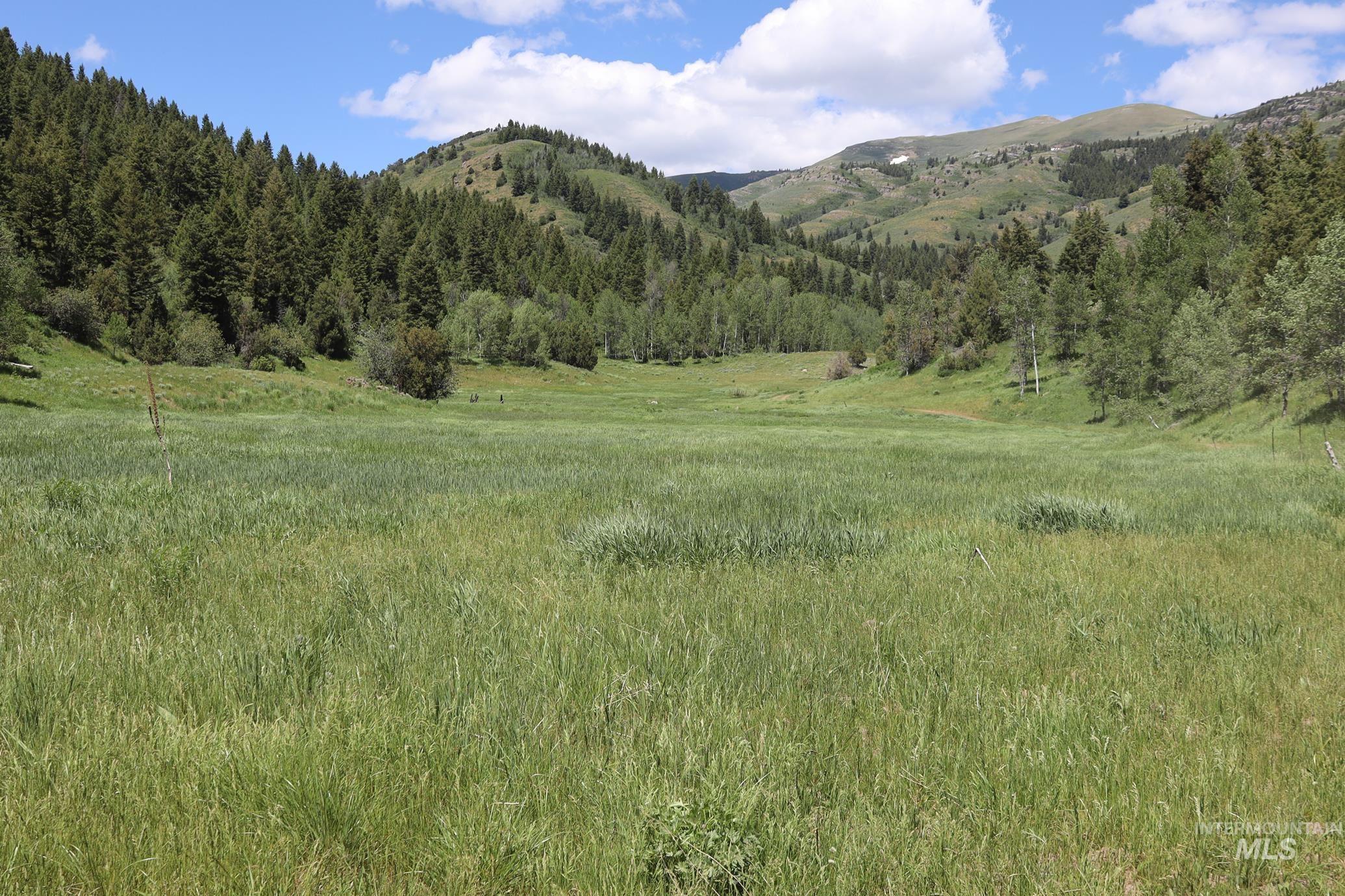TBD Bull Canyon Road, Rockland, Idaho 83271, Land For Sale, Price $2,675,000, 98916408