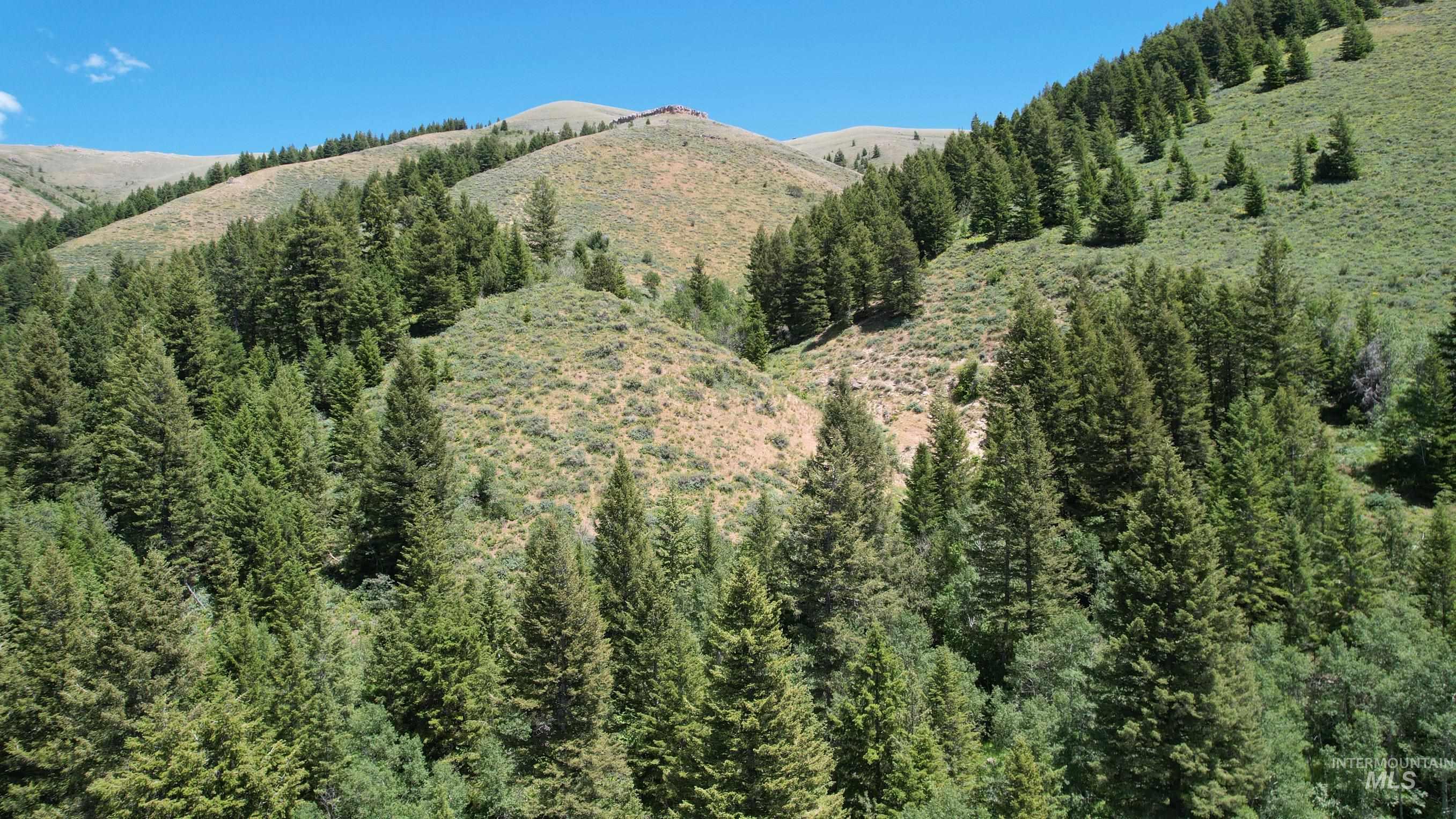 TBD Bull Canyon Road, Rockland, Idaho 83271, Land For Sale, Price $2,675,000, 98916408